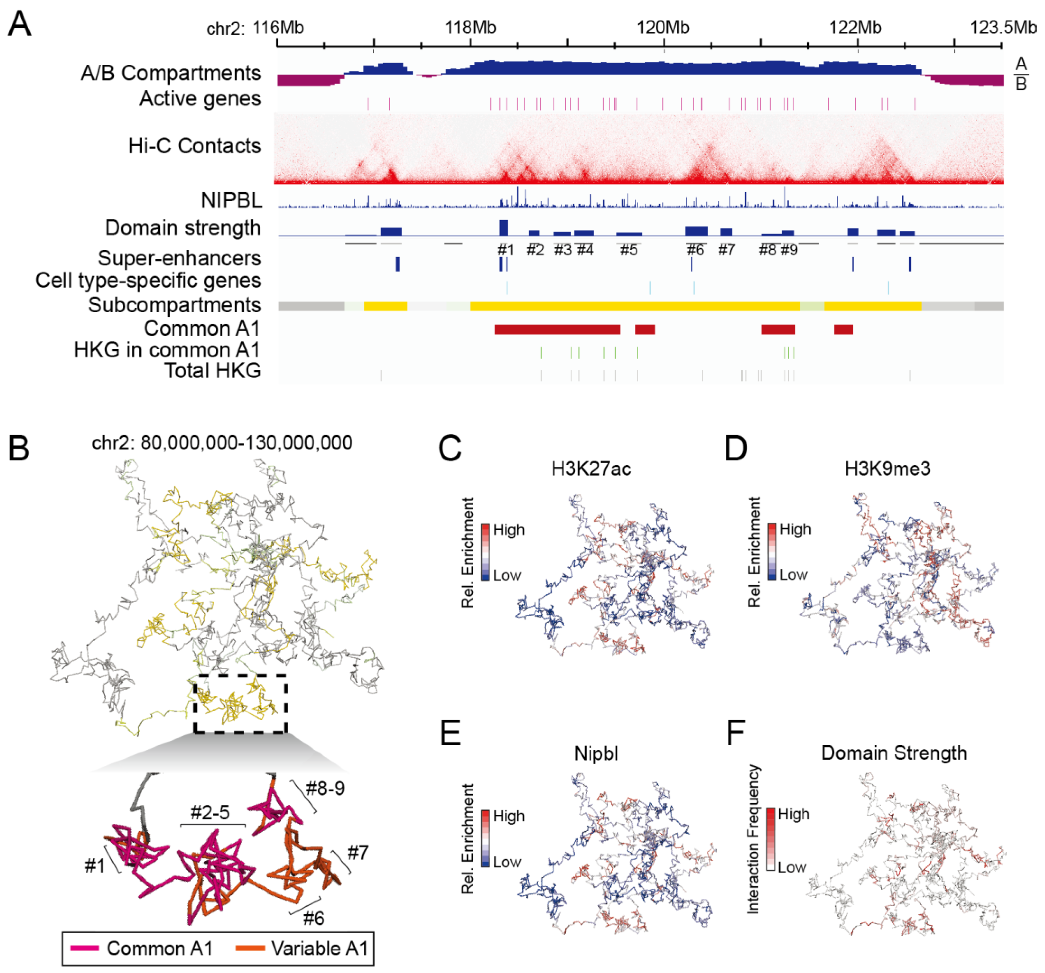 Biology 12 01058 g007 Biology 12 01058 g007