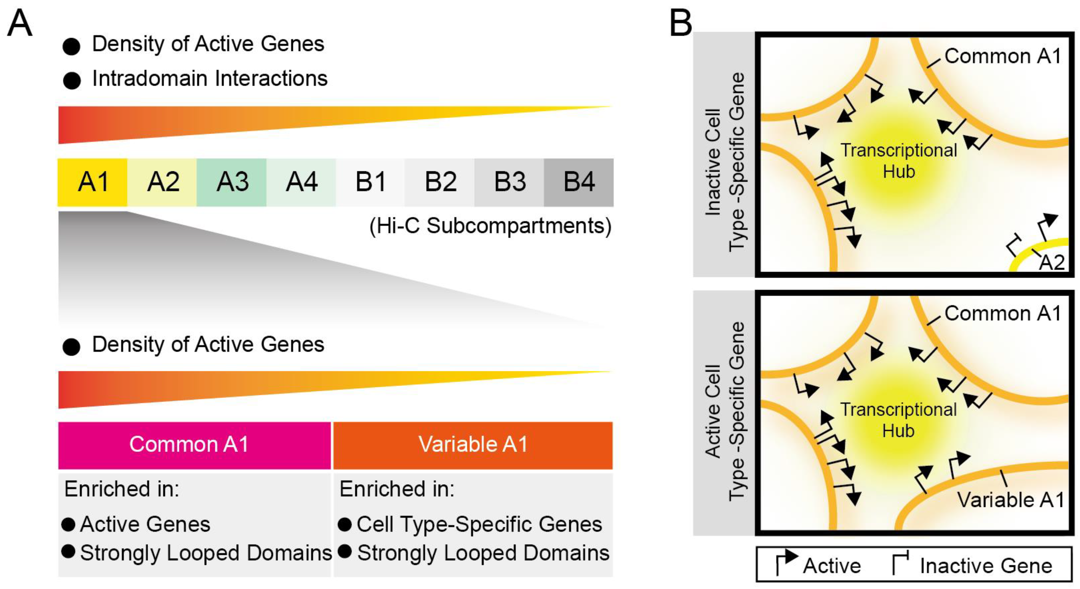 Biology 12 01058 g009 Biology 12 01058 g009