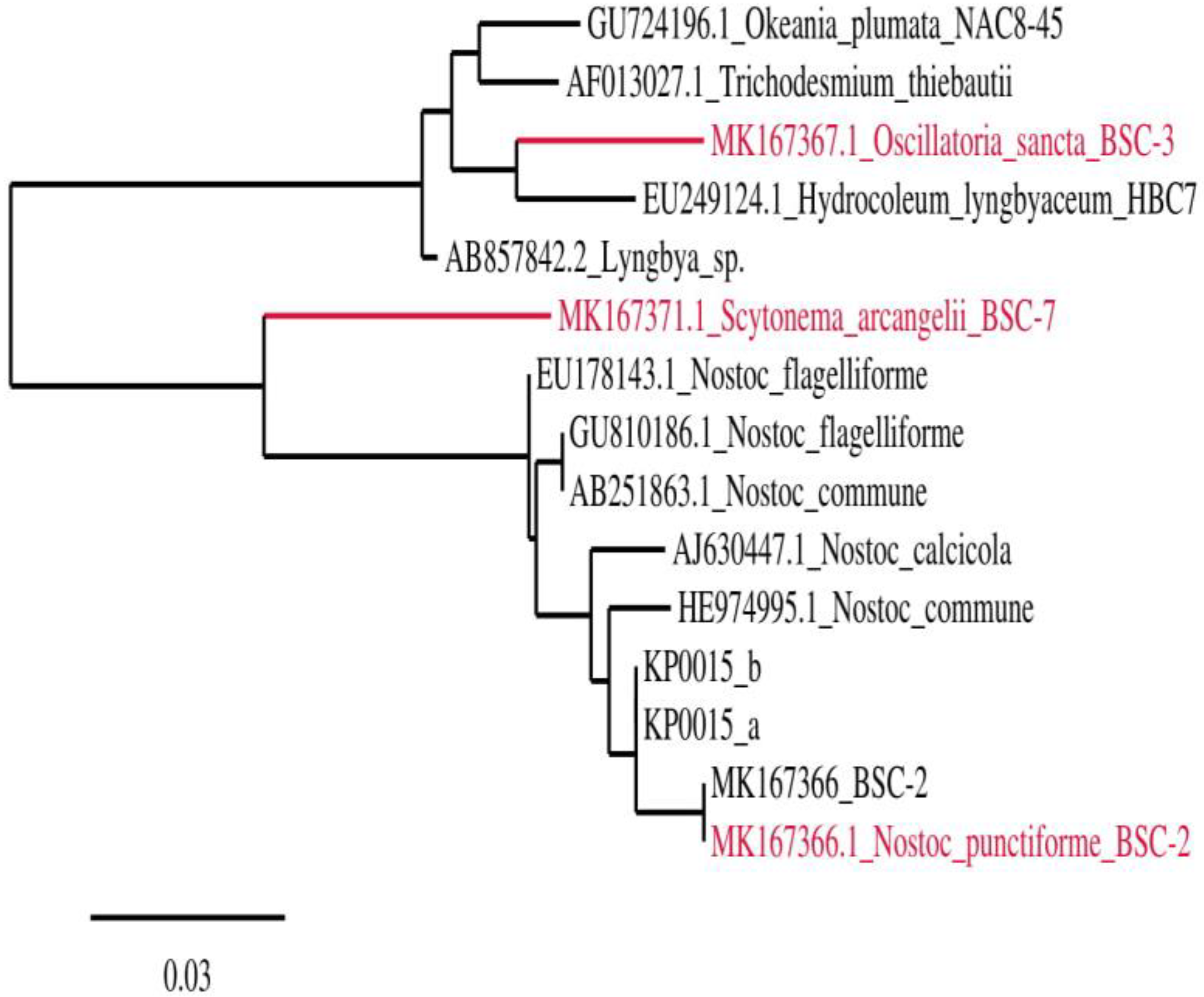 Biology 12 01065 g004 Biology 12 01065 g004