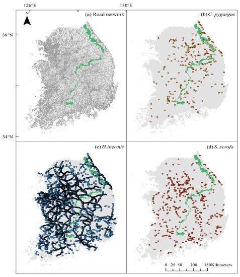 Road killed vertebrates vs. mean temperature and total precipitation