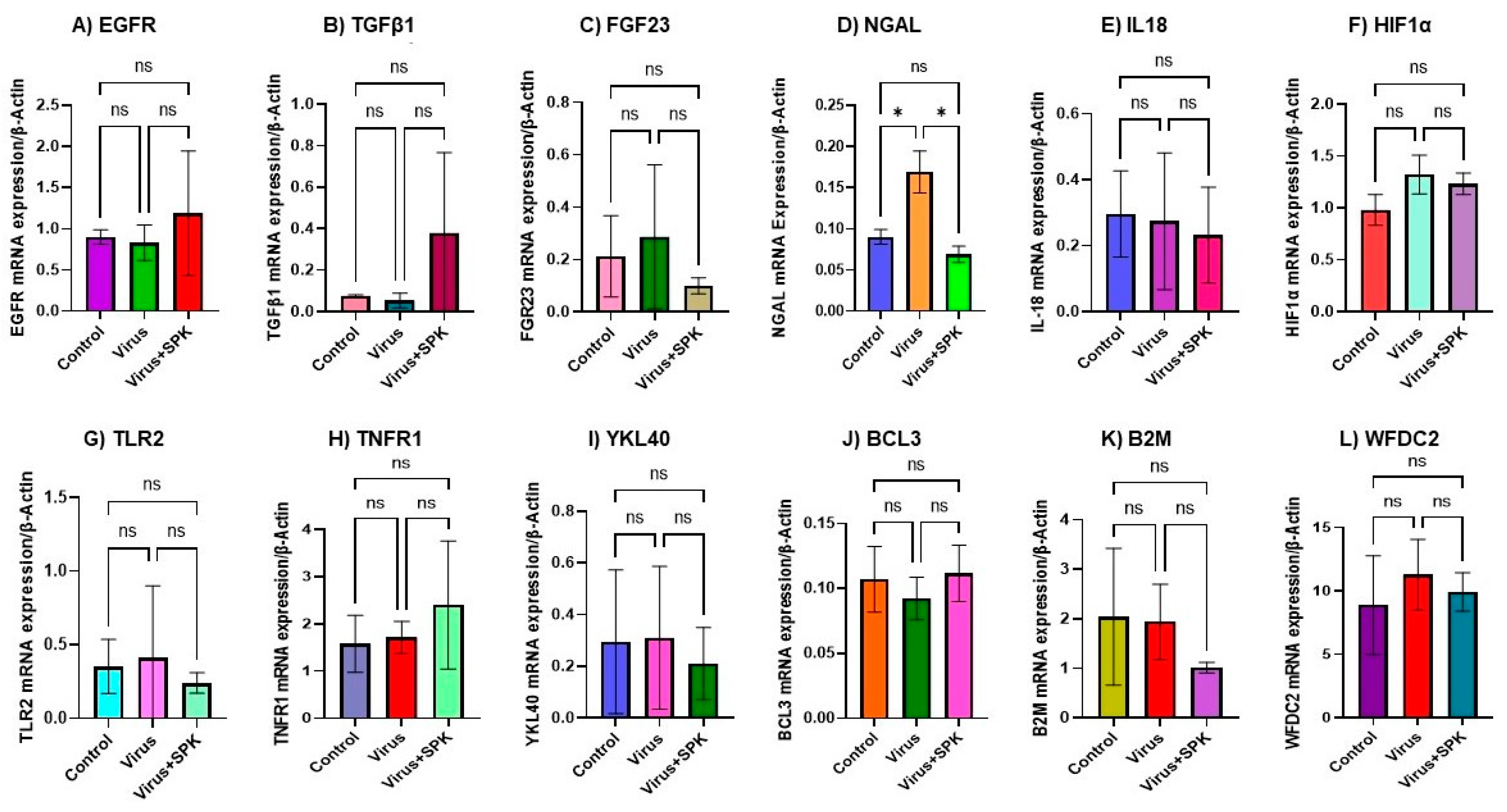 Biology 12 01070 g001