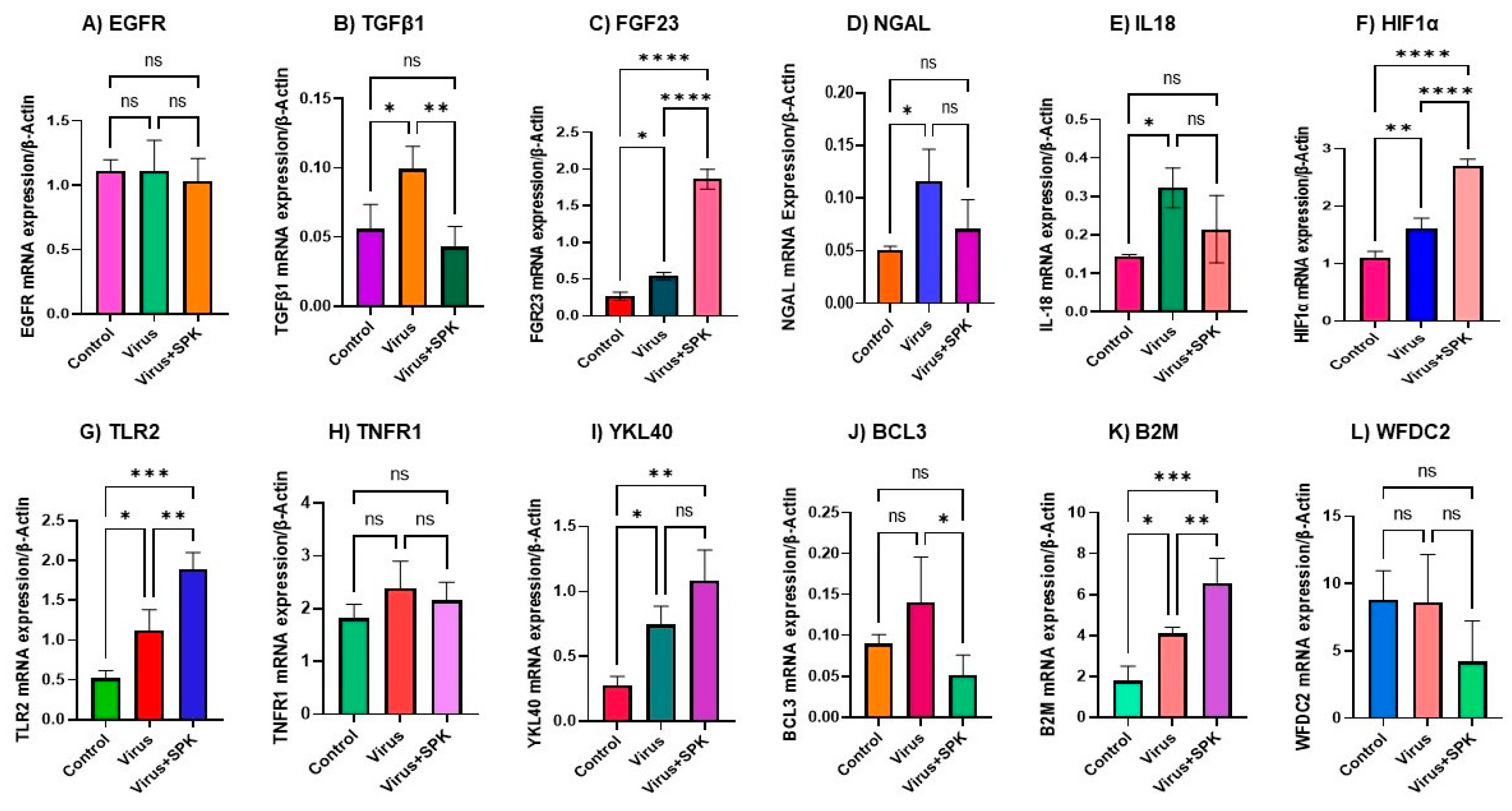 Biology 12 01070 g002