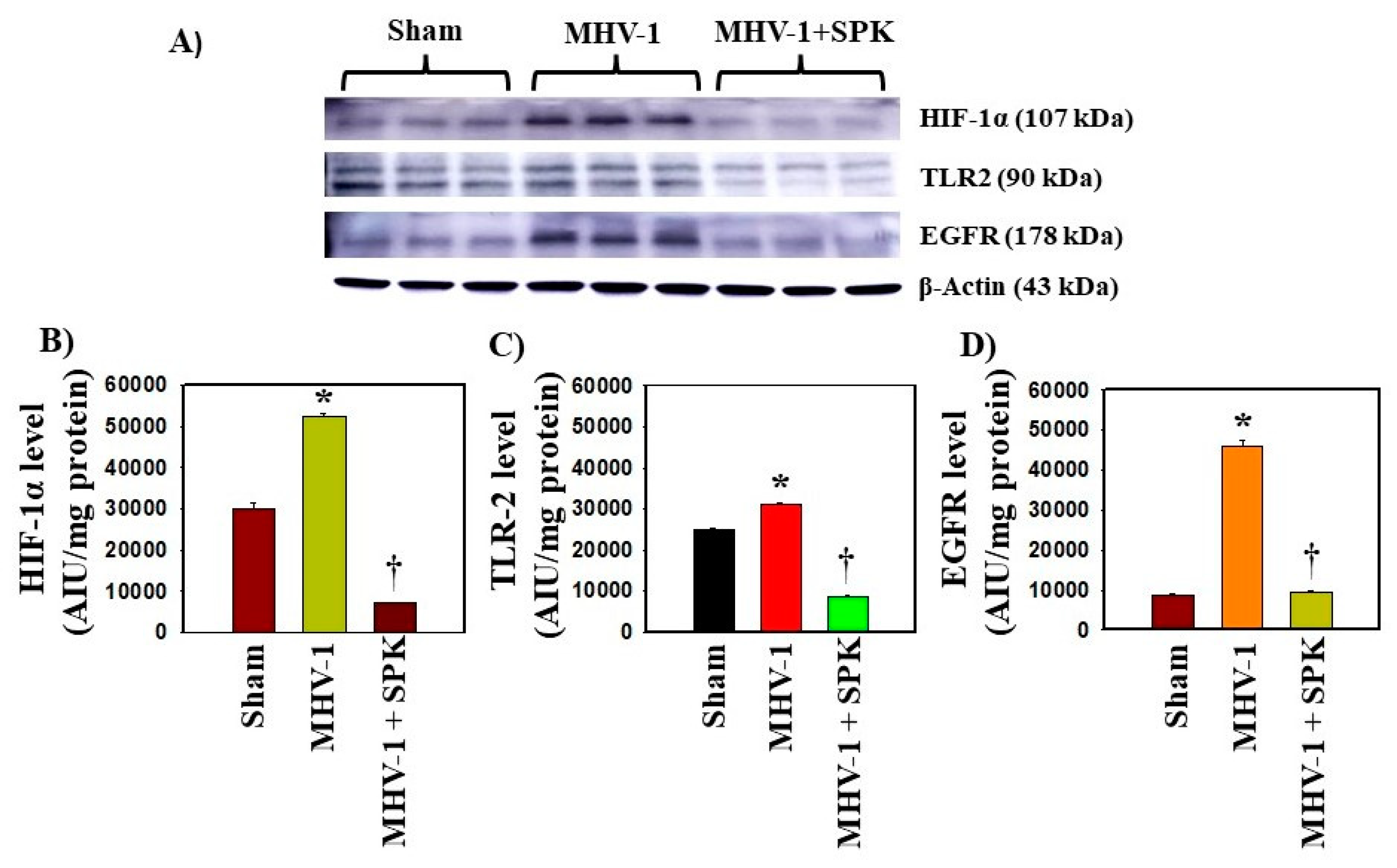 Biology 12 01070 g003