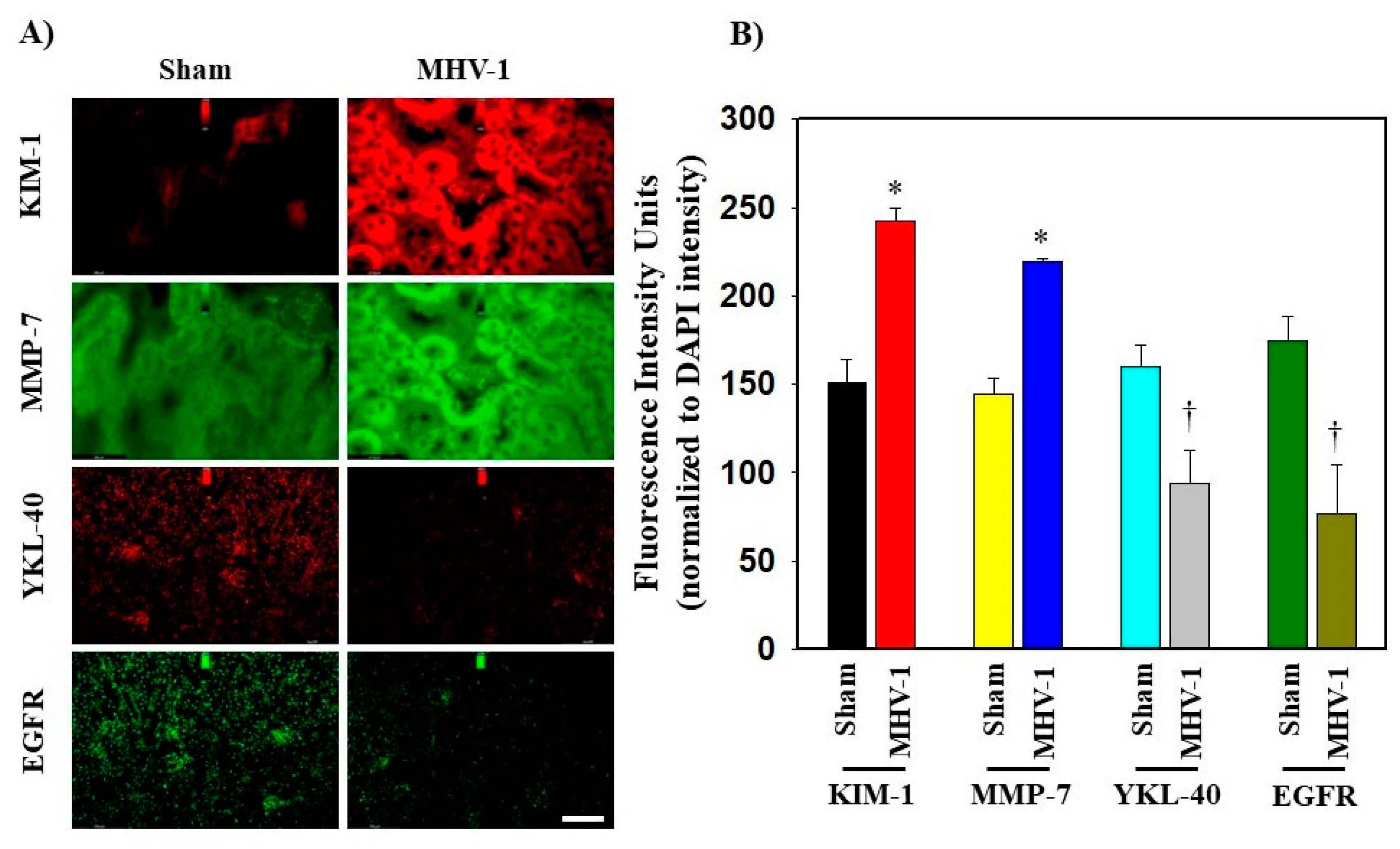 Biology 12 01070 g004