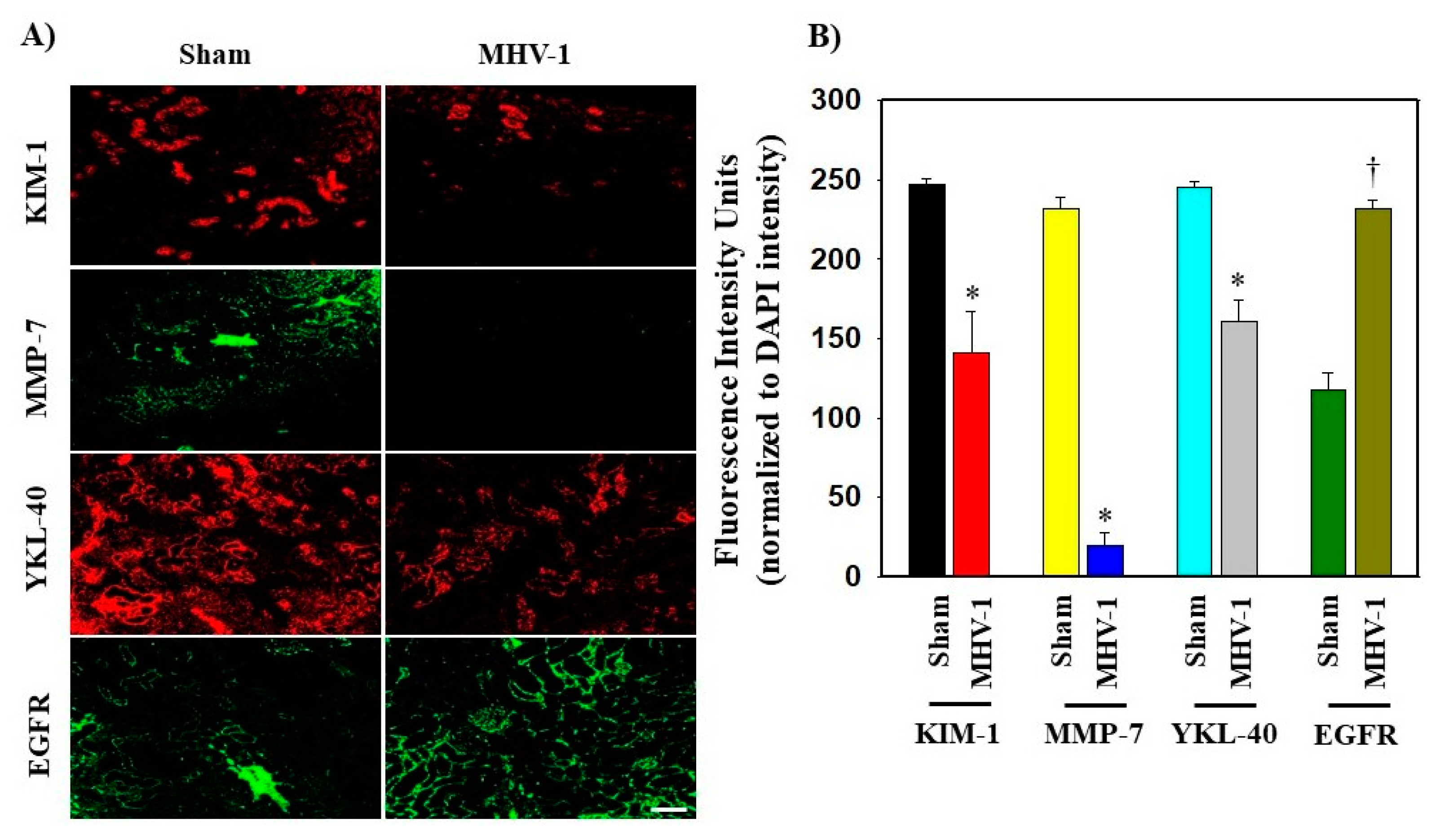 Biology 12 01070 g005
