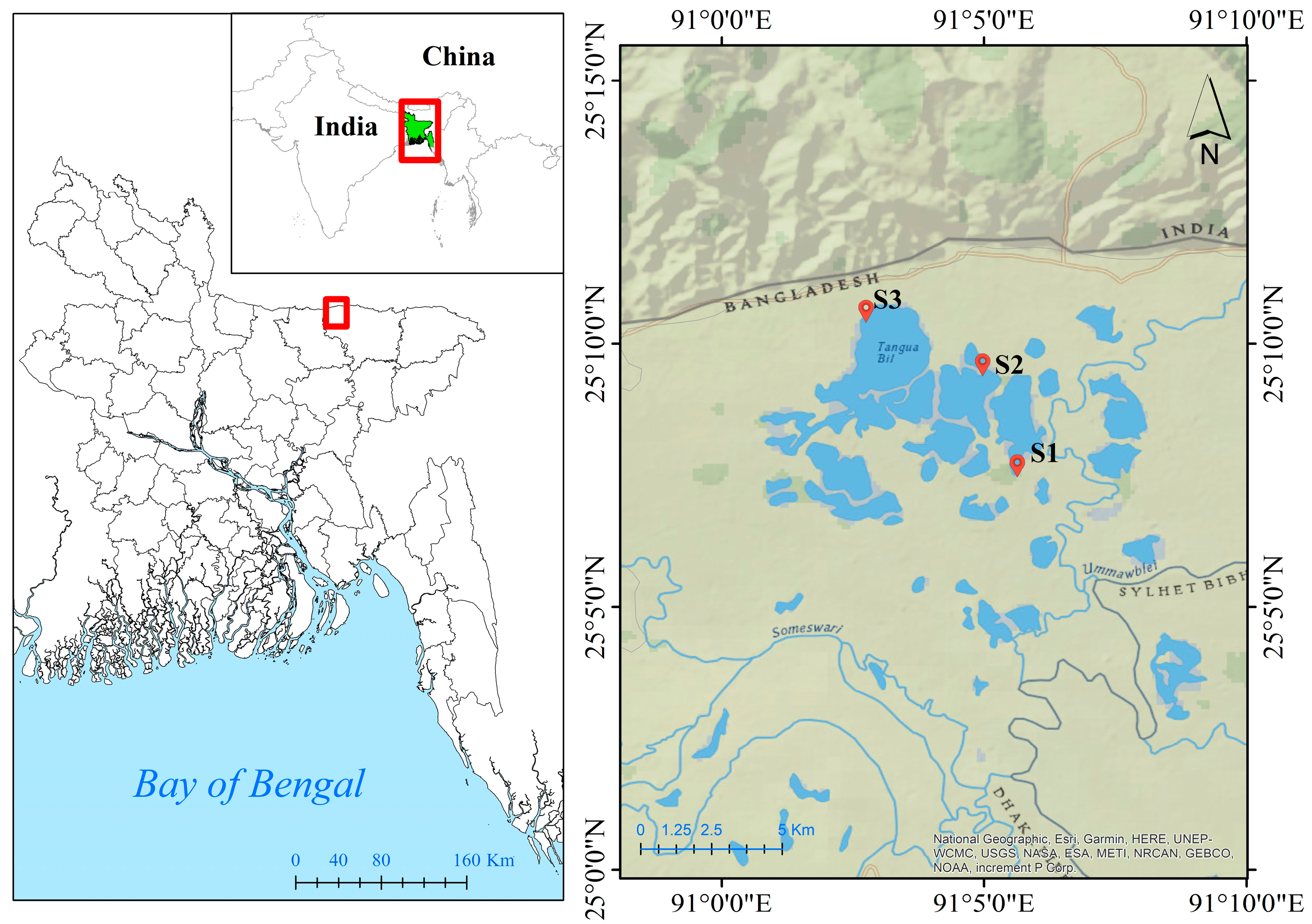 Biology 12 01072 g001 Biology 12 01072 g001