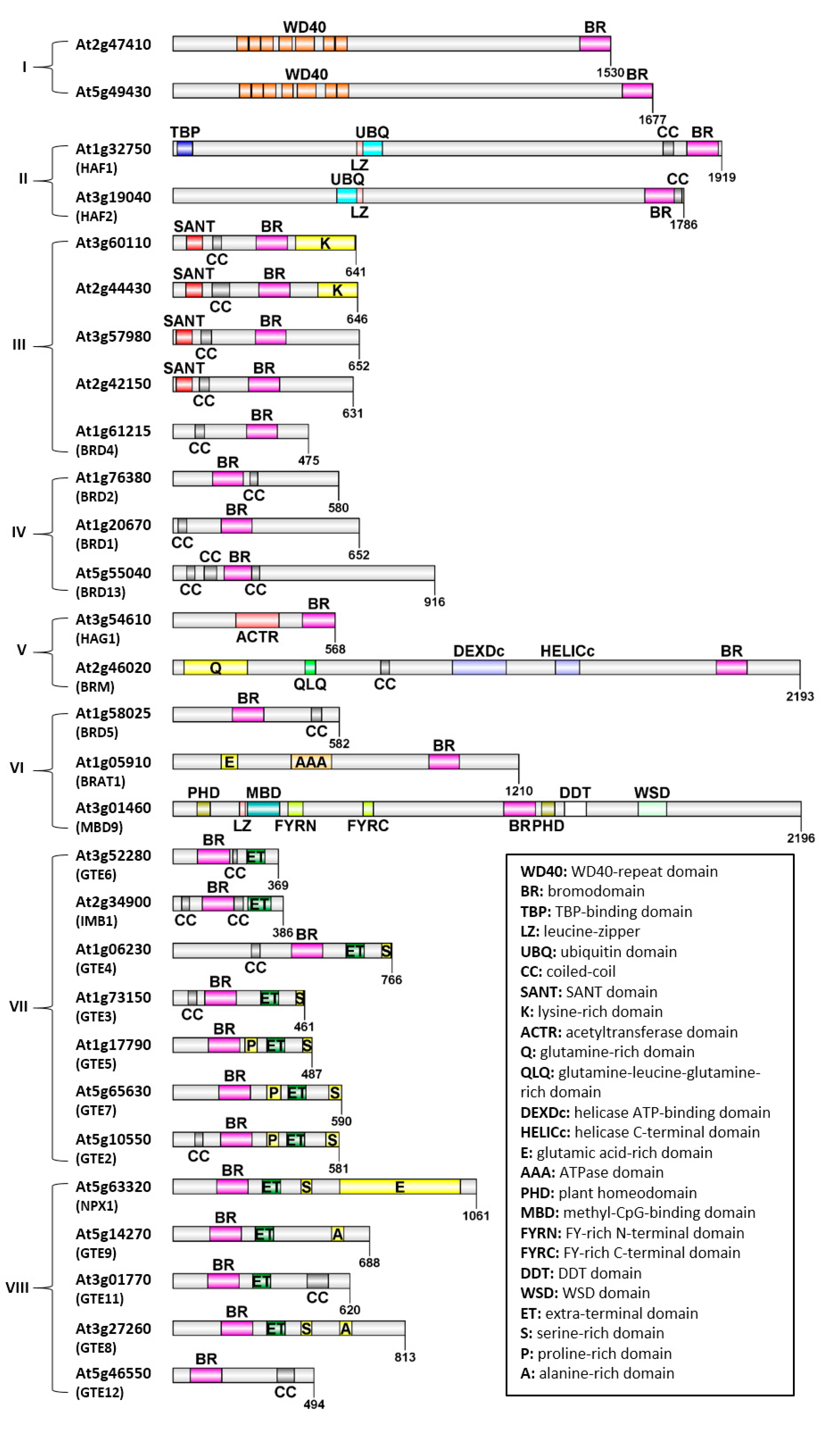 Biology 12 01076 g001 Biology 12 01076 g001