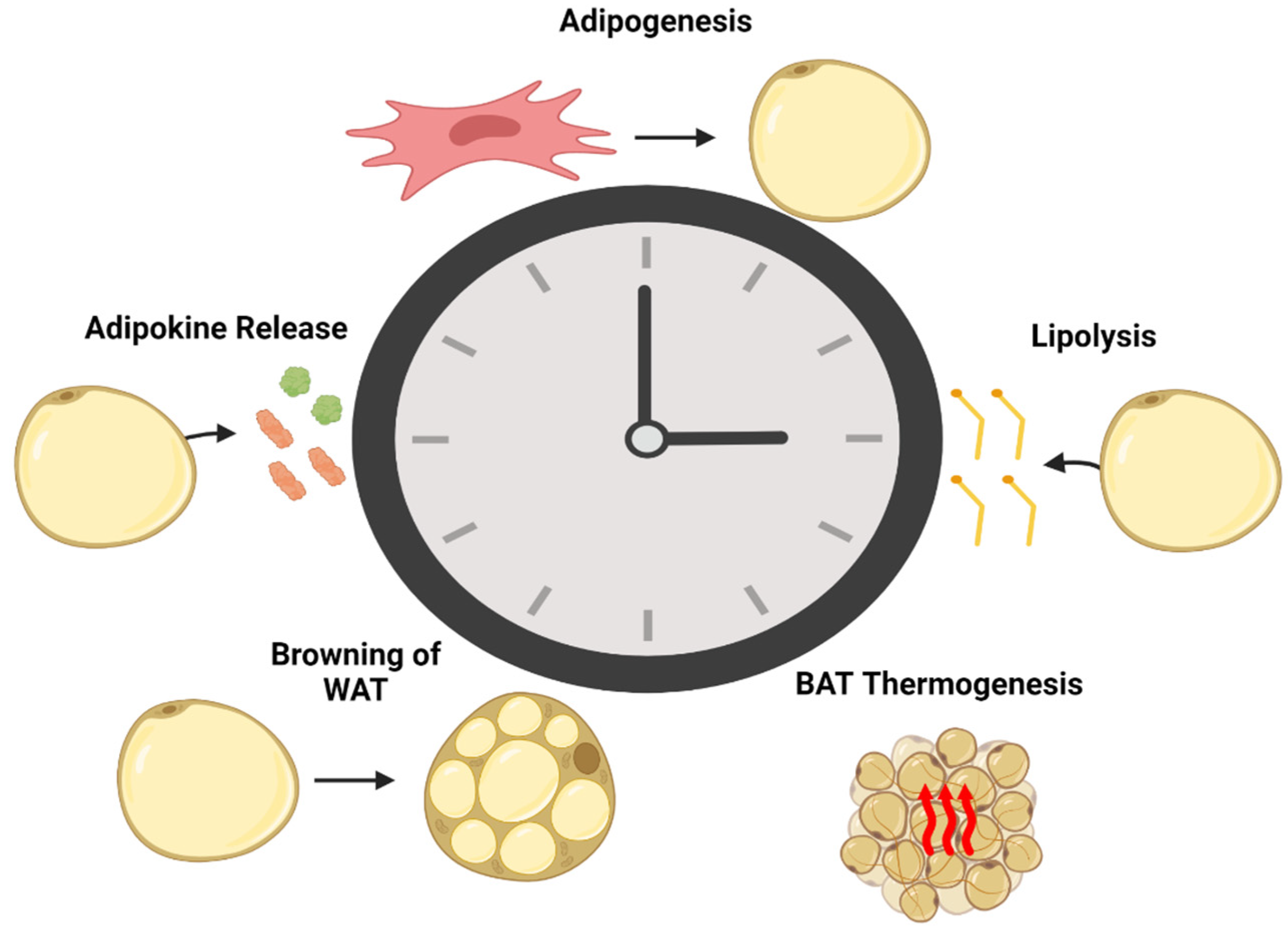 Biology 12 01077 g002 Biology 12 01077 g002