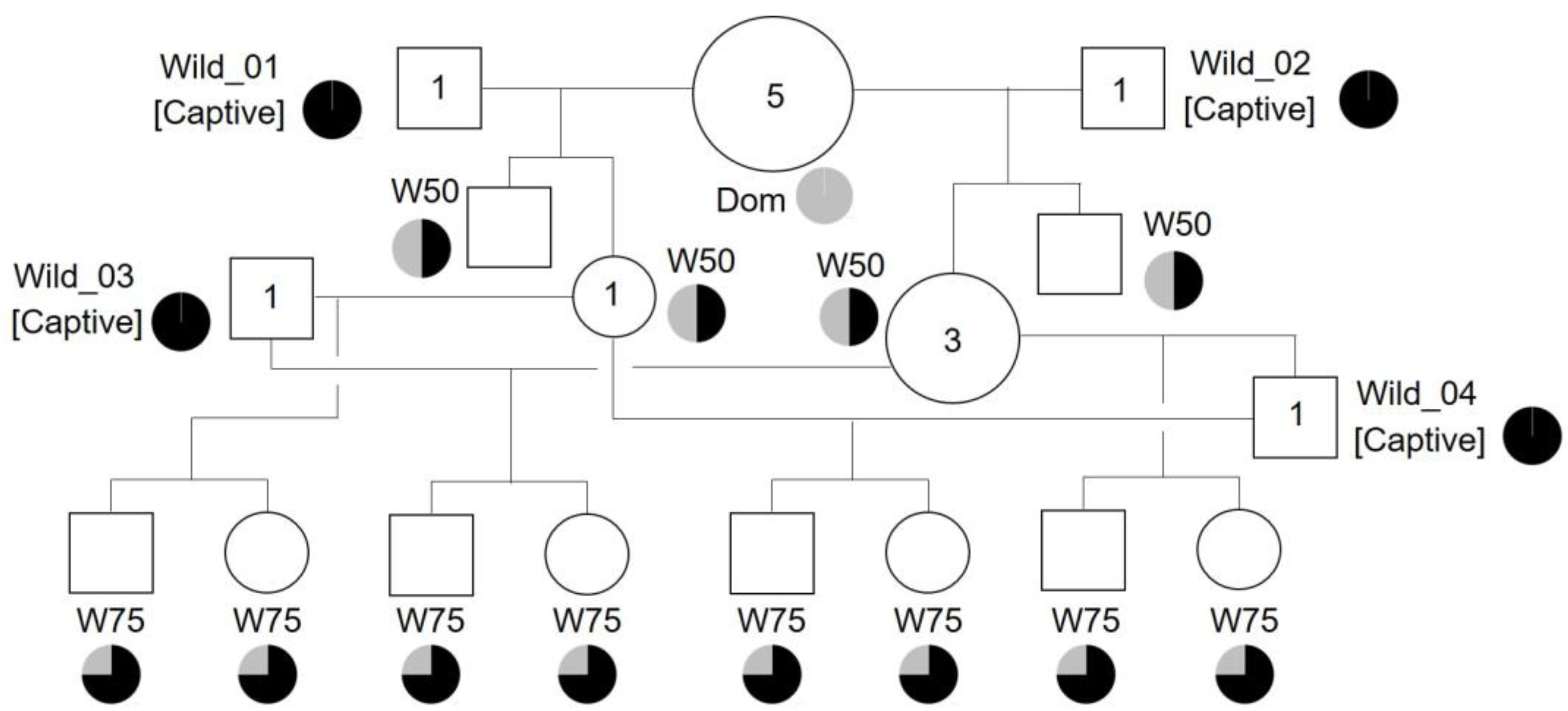 Biology 12 01080 g005 Biology 12 01080 g005