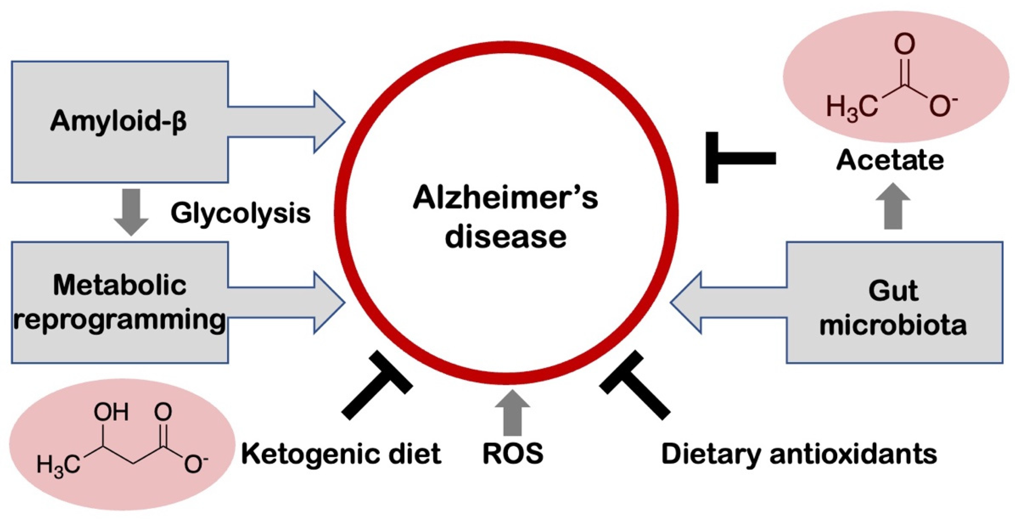 Biology 12 01081 g002 Biology 12 01081 g002