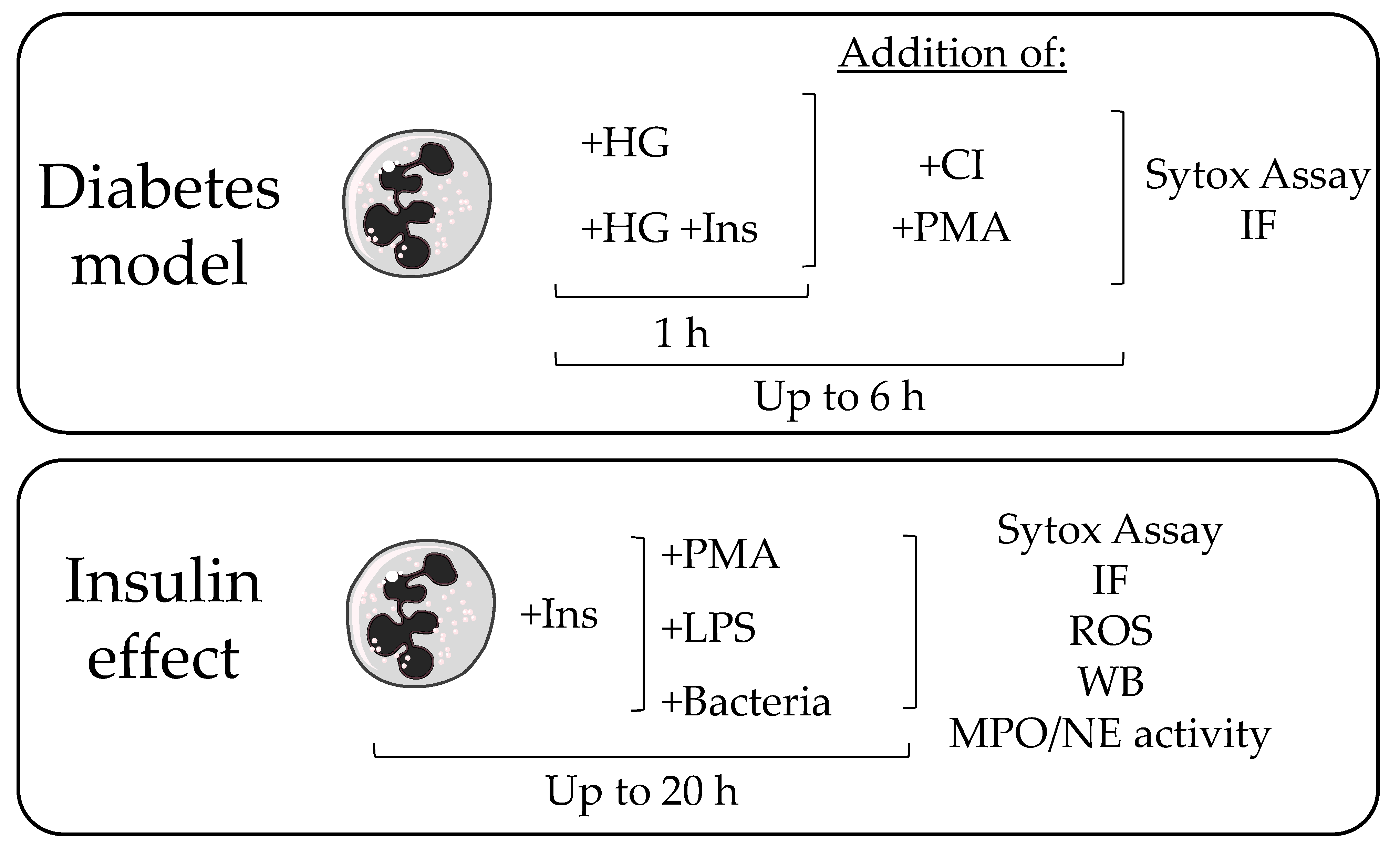 Biology 12 01082 g001 Biology 12 01082 g001
