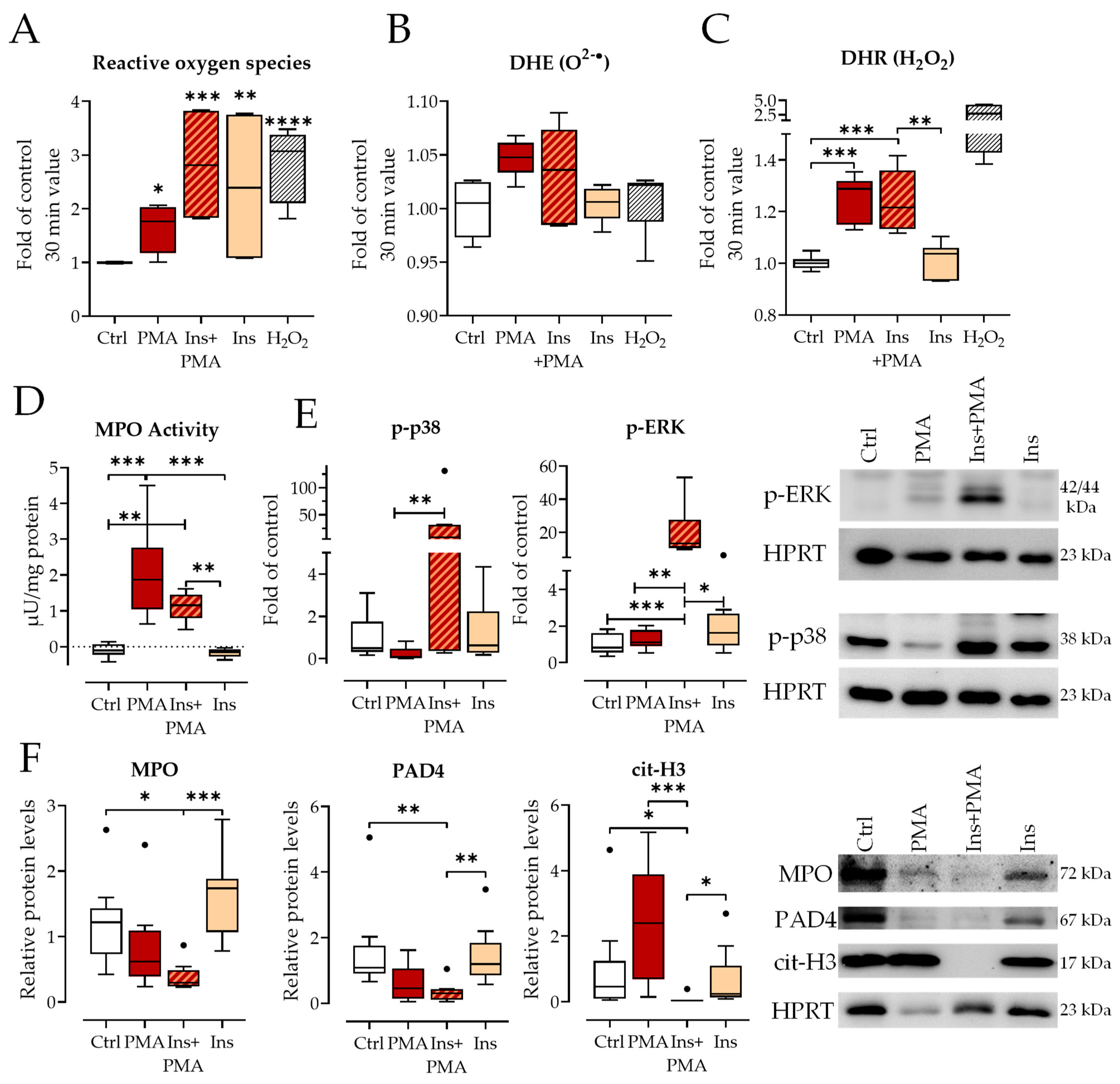 Biology 12 01082 g004 Biology 12 01082 g004
