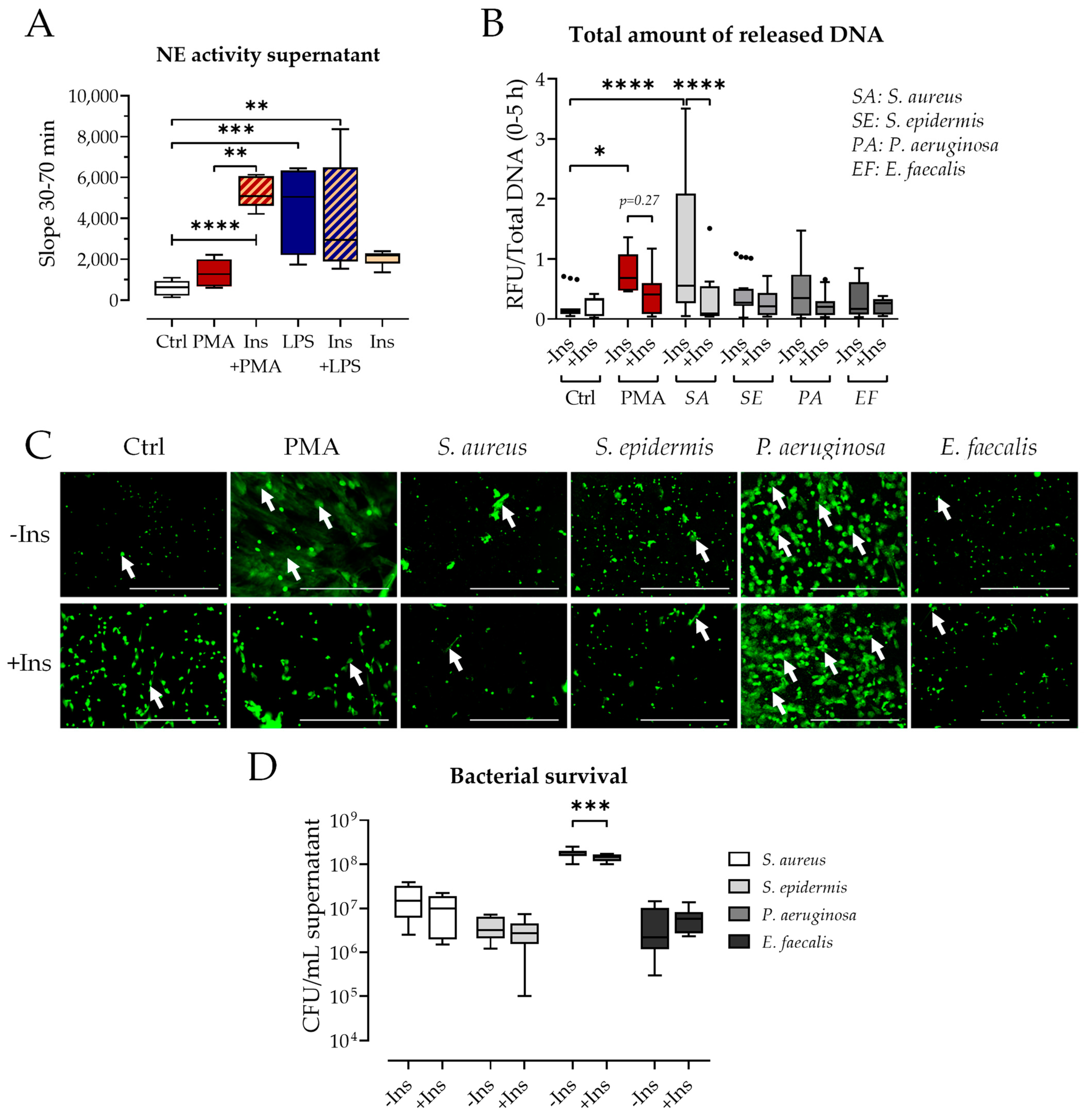 Biology 12 01082 g006 Biology 12 01082 g006