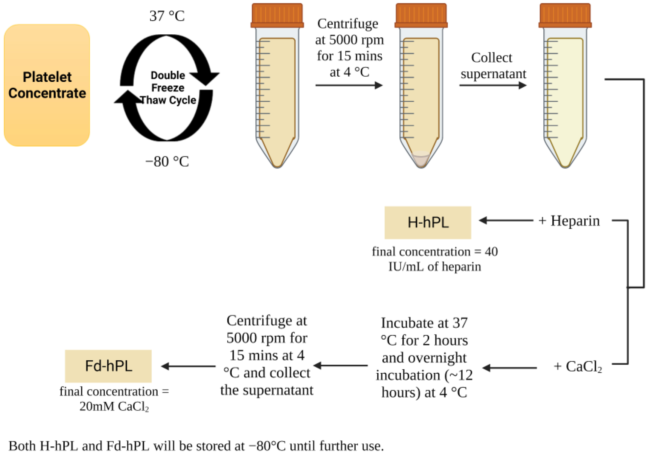 Biology 12 01085 g001 Biology 12 01085 g001