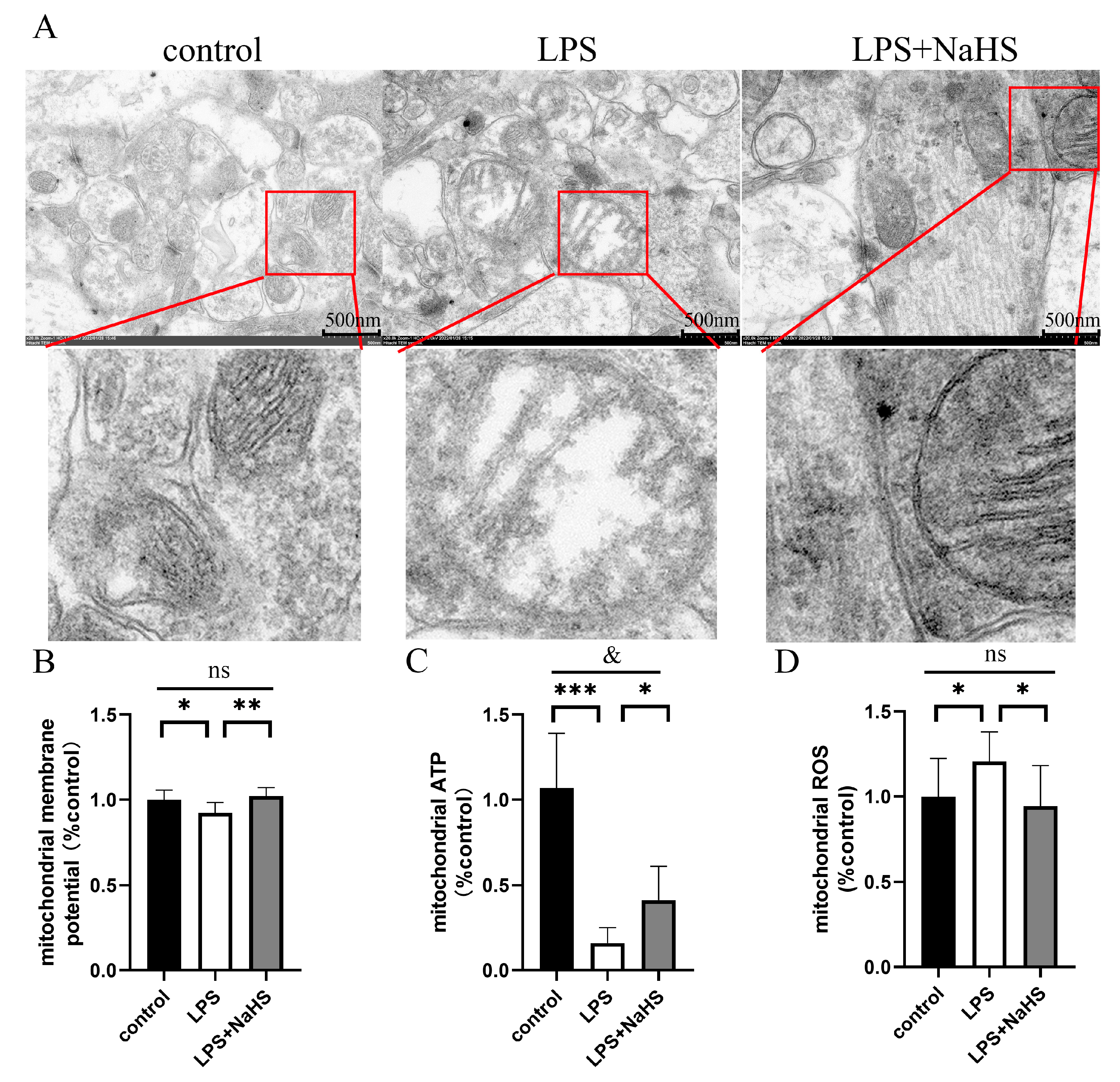 Biology 12 01092 g004