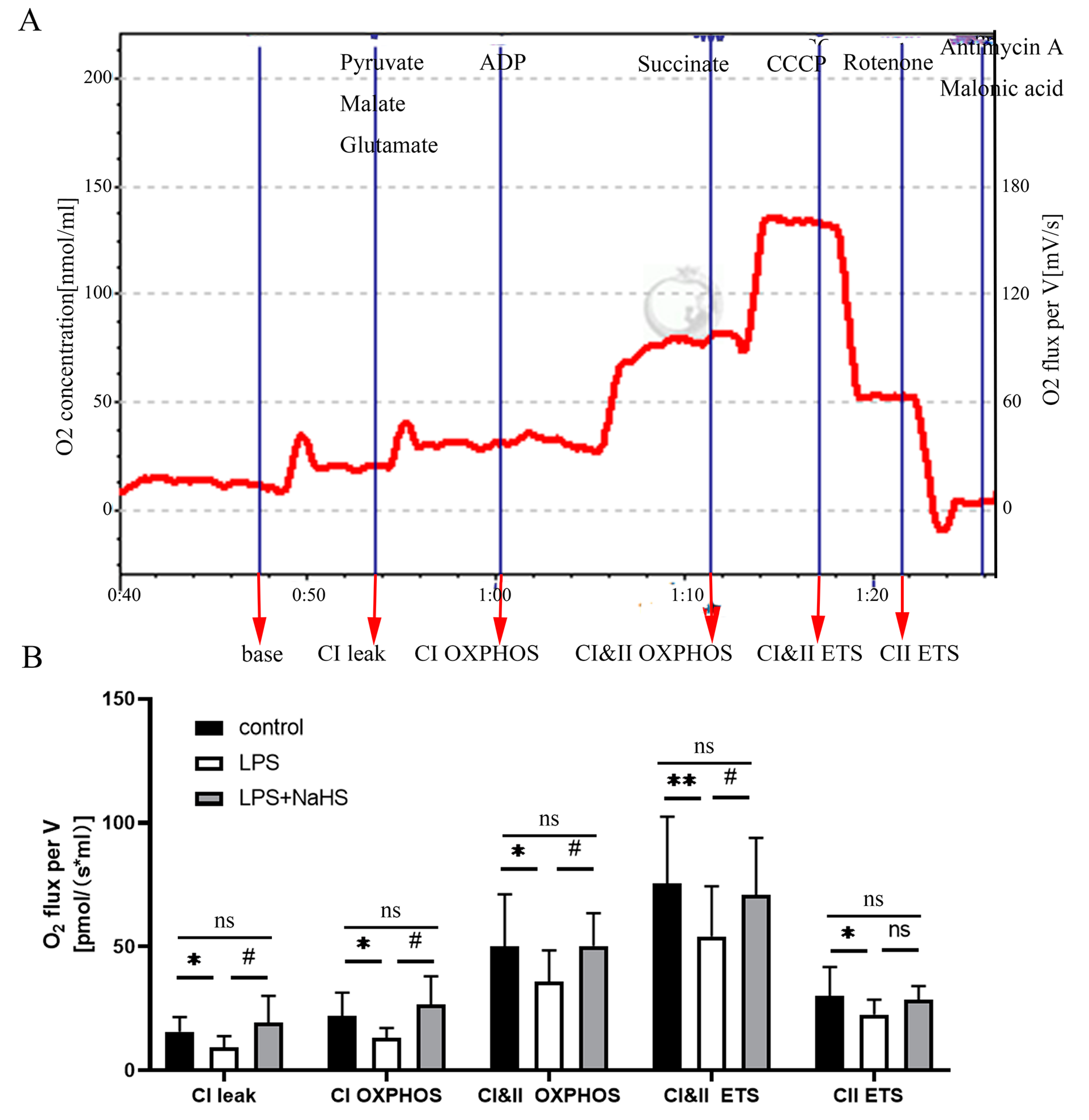 Biology 12 01092 g005