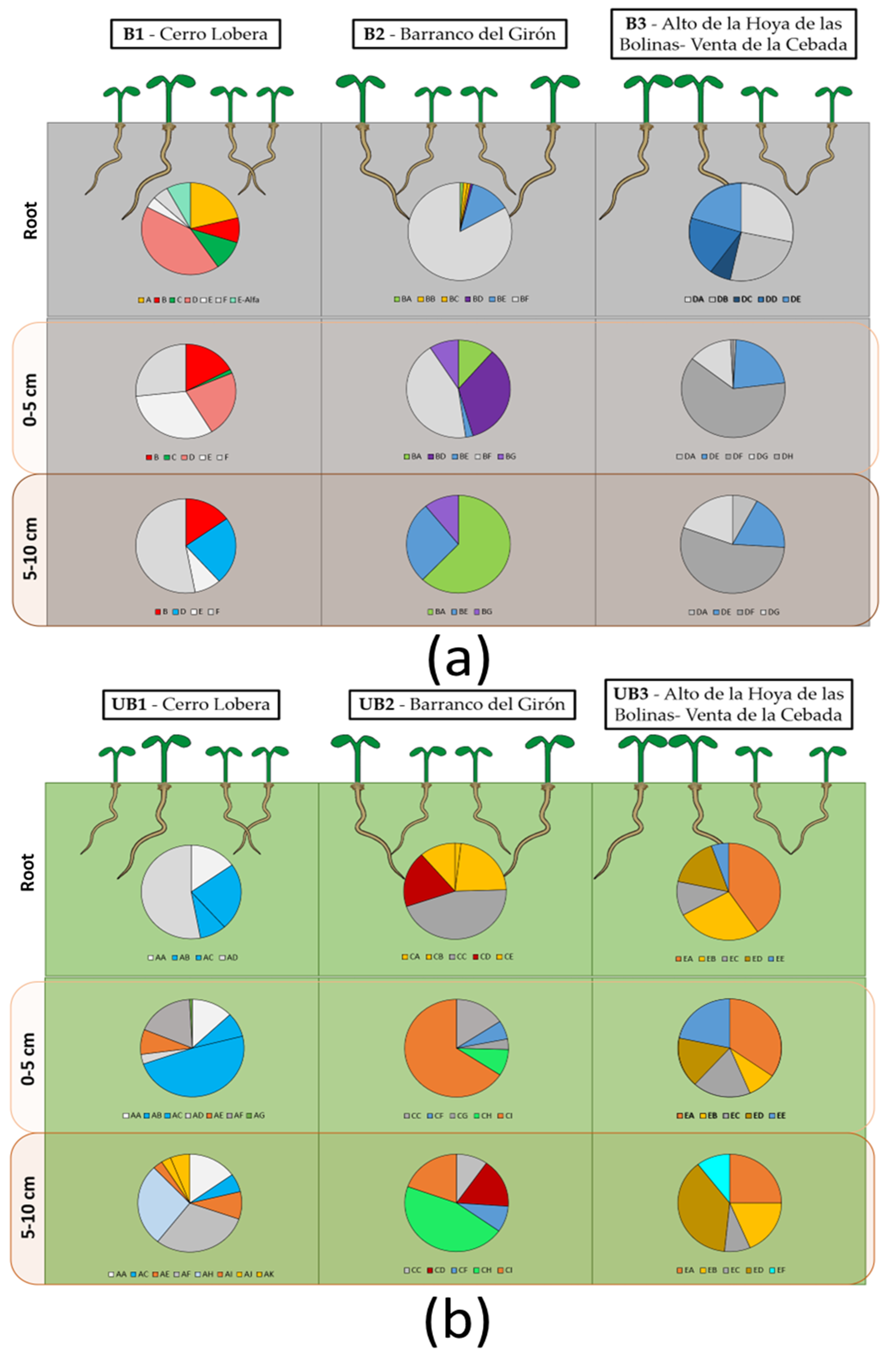 Biology 12 01093 g004