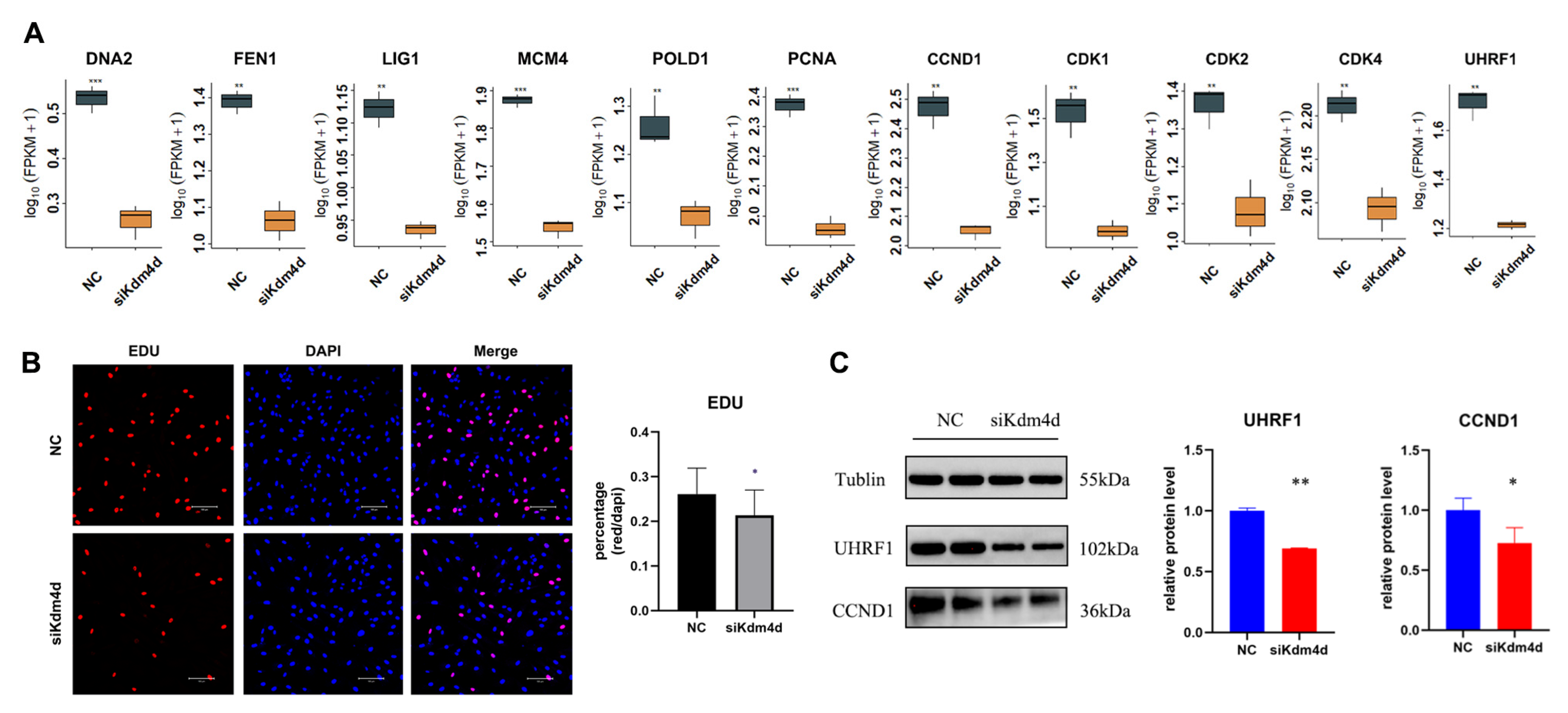 Biology 12 01095 g005 Biology 12 01095 g005