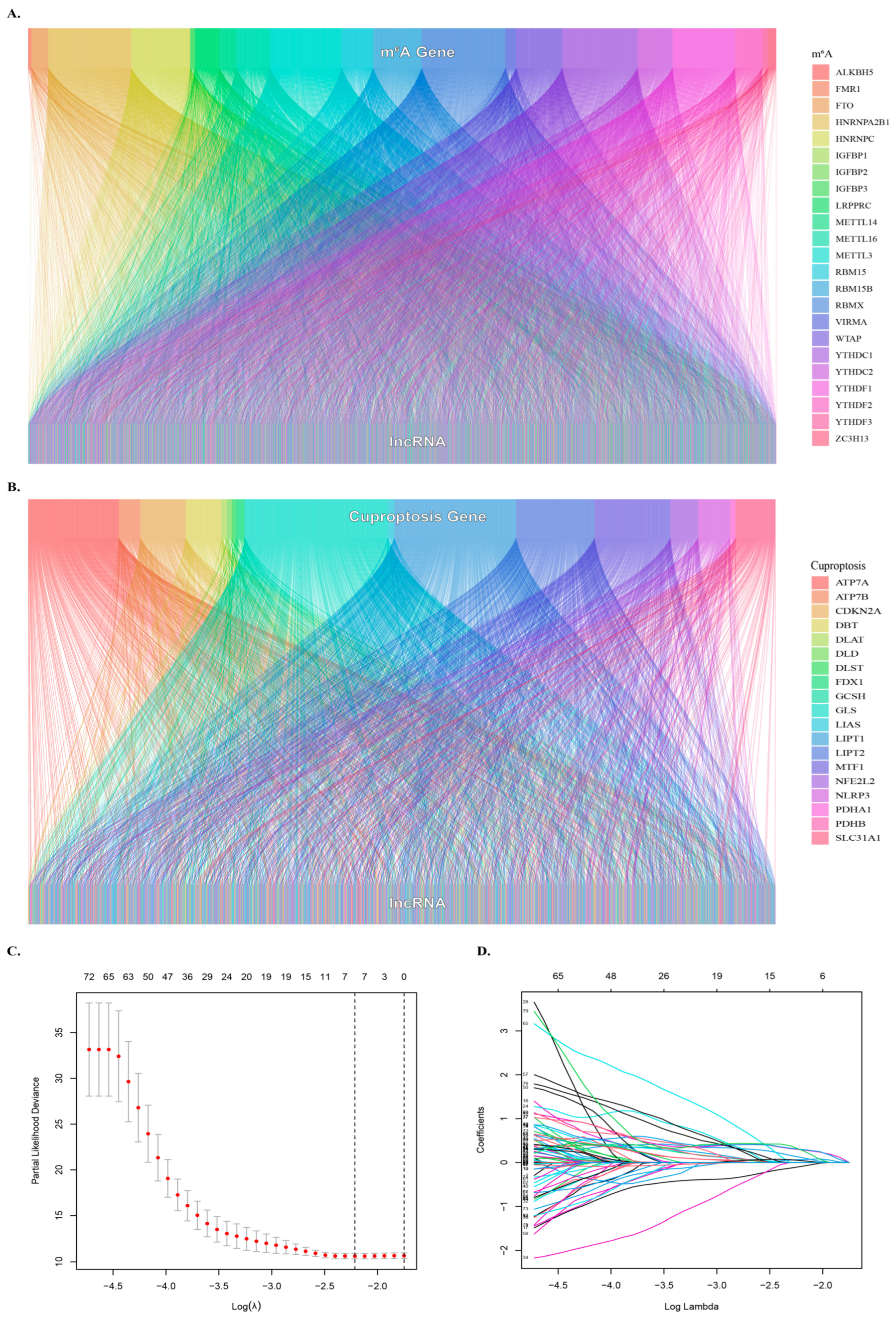 Biology 12 01101 g001 Biology 12 01101 g001