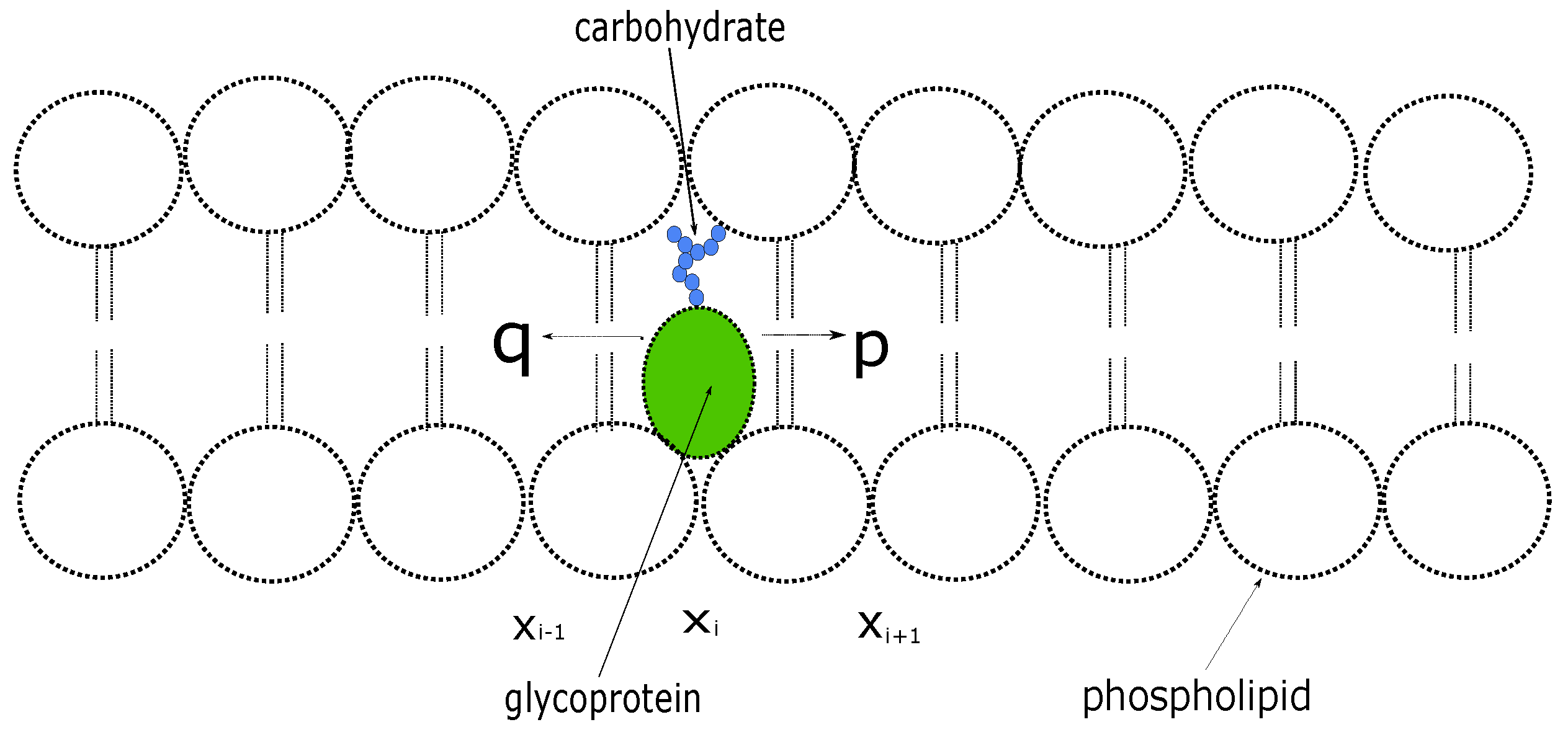 Biology 12 01102 g001