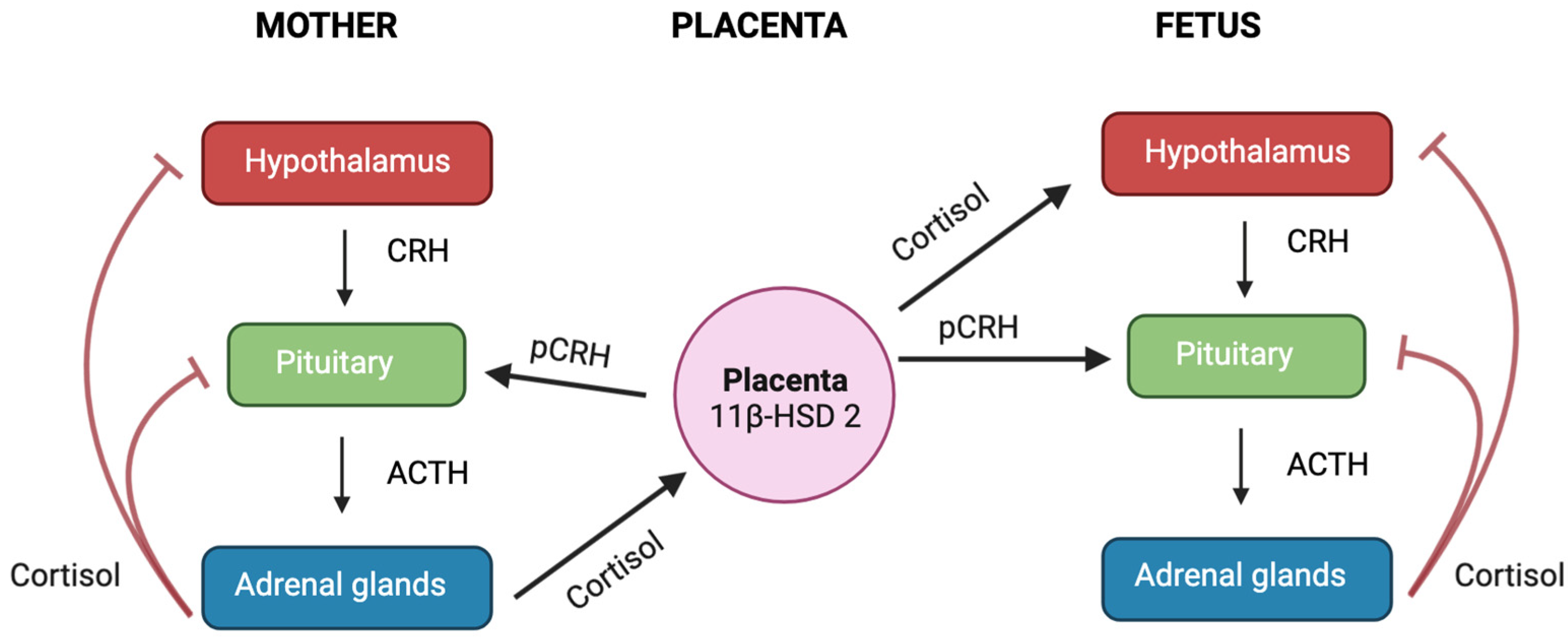 Biology 12 01104 g005