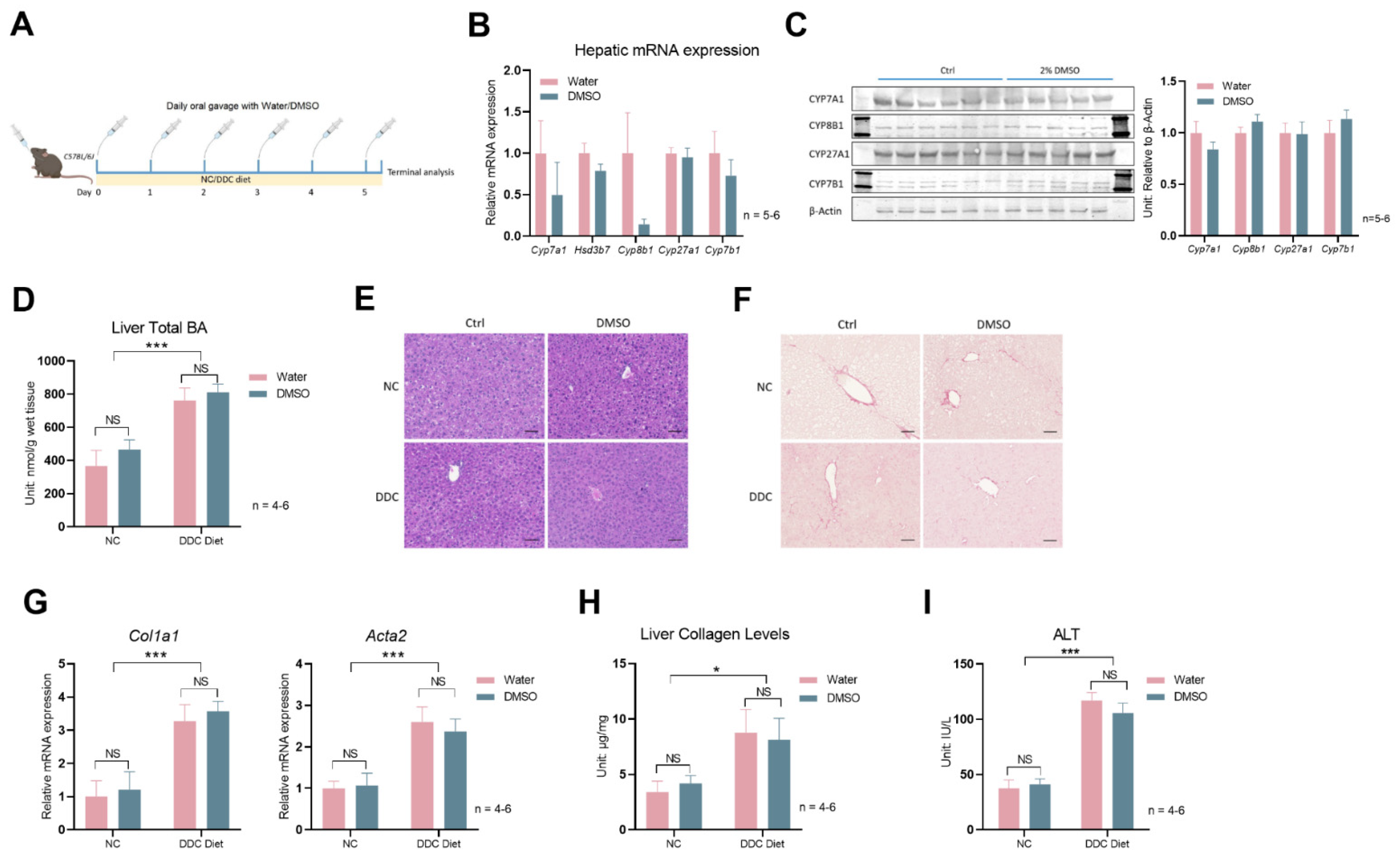 Biology 12 01105 g003
