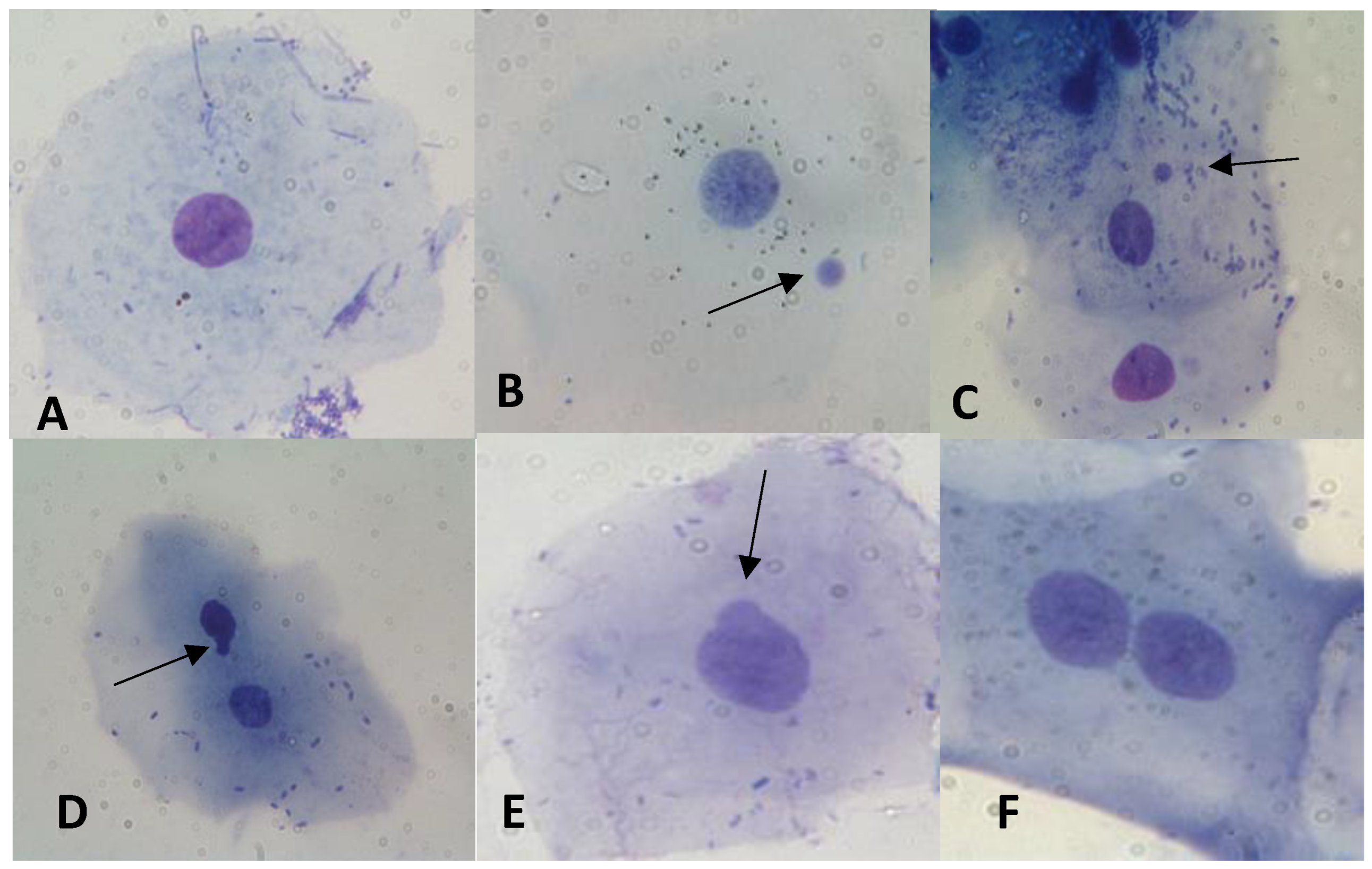 Biology 12 01110 g003 Biology 12 01110 g003