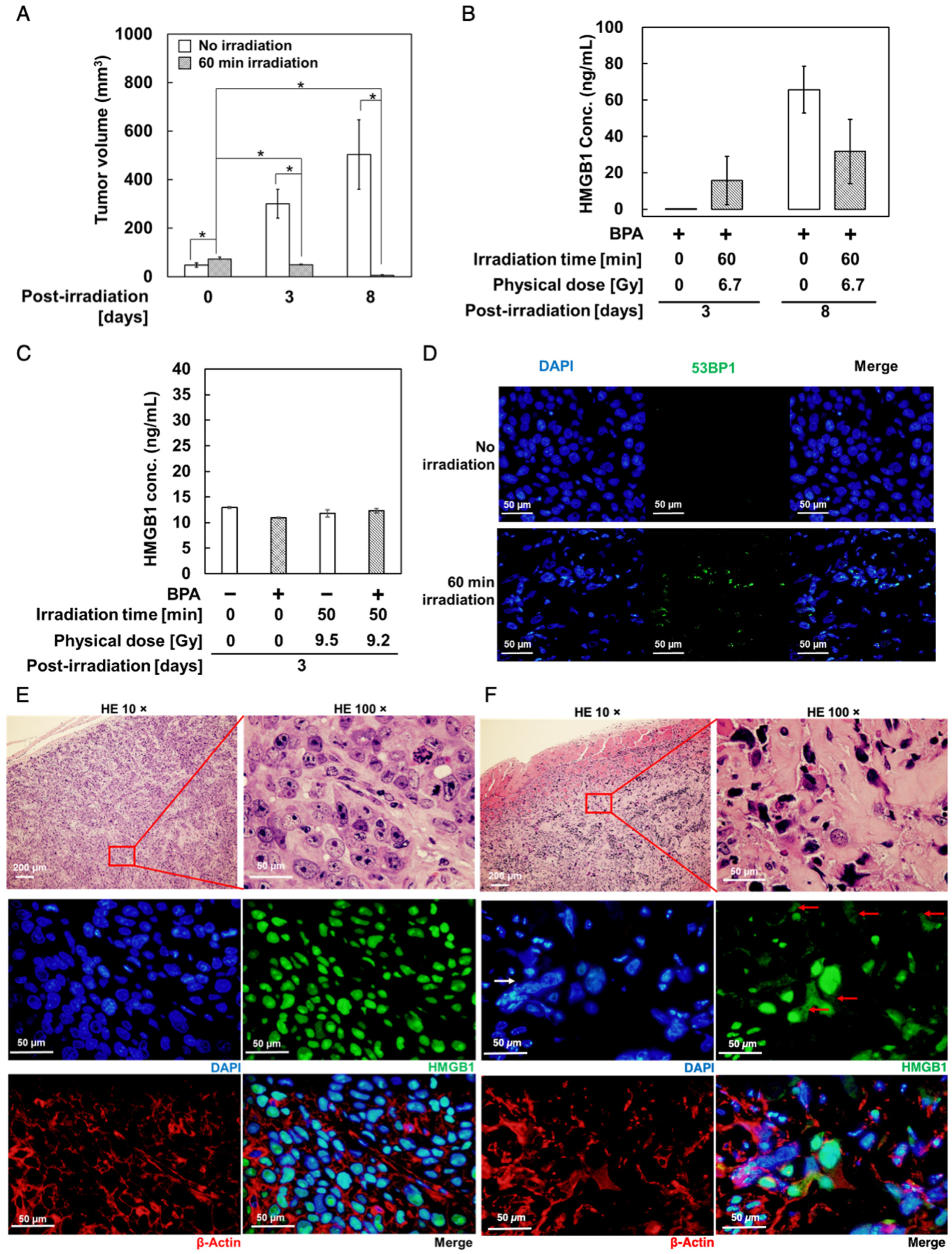 Biology 12 01112 g001