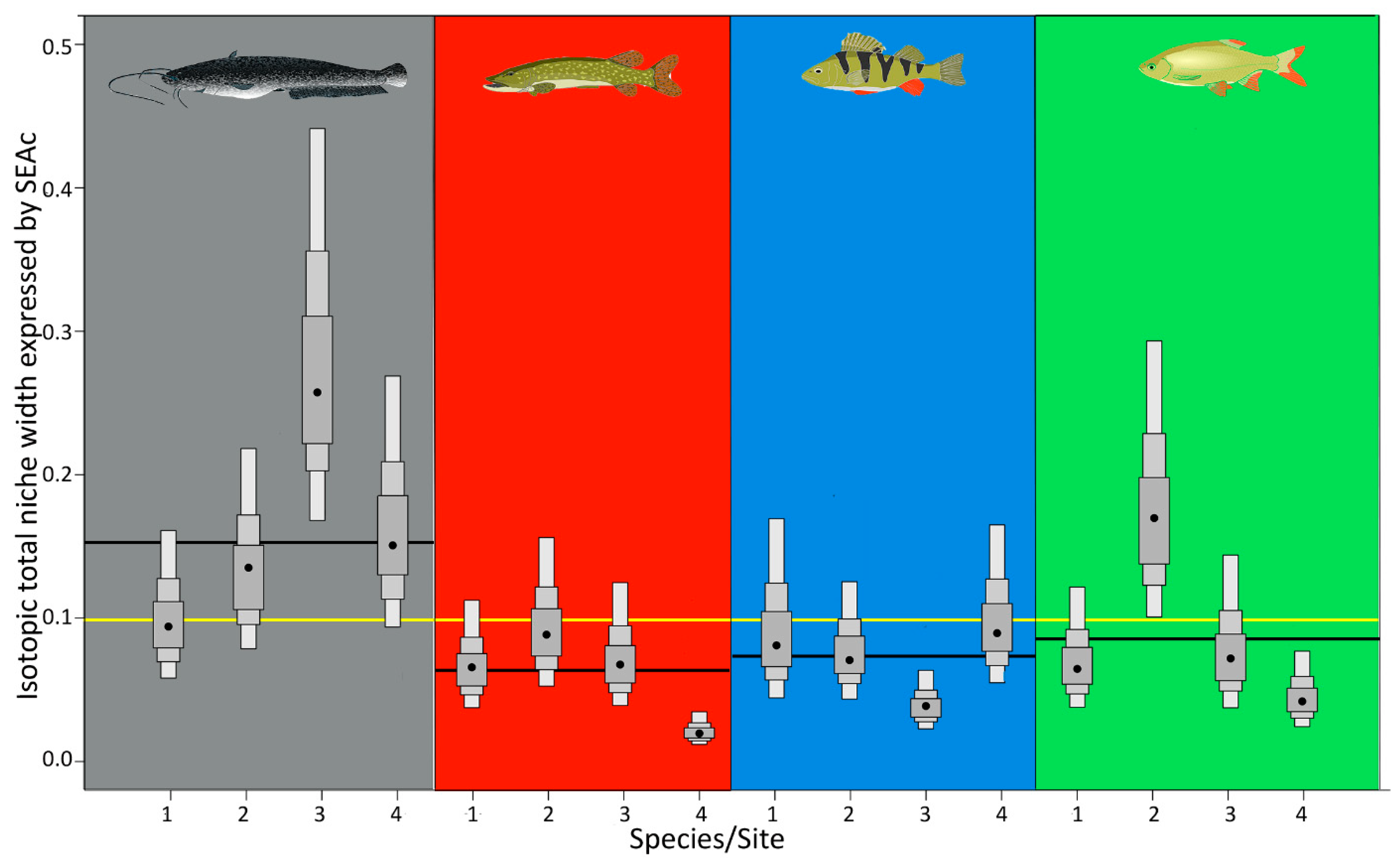 Biology 12 01113 g003 Biology 12 01113 g003
