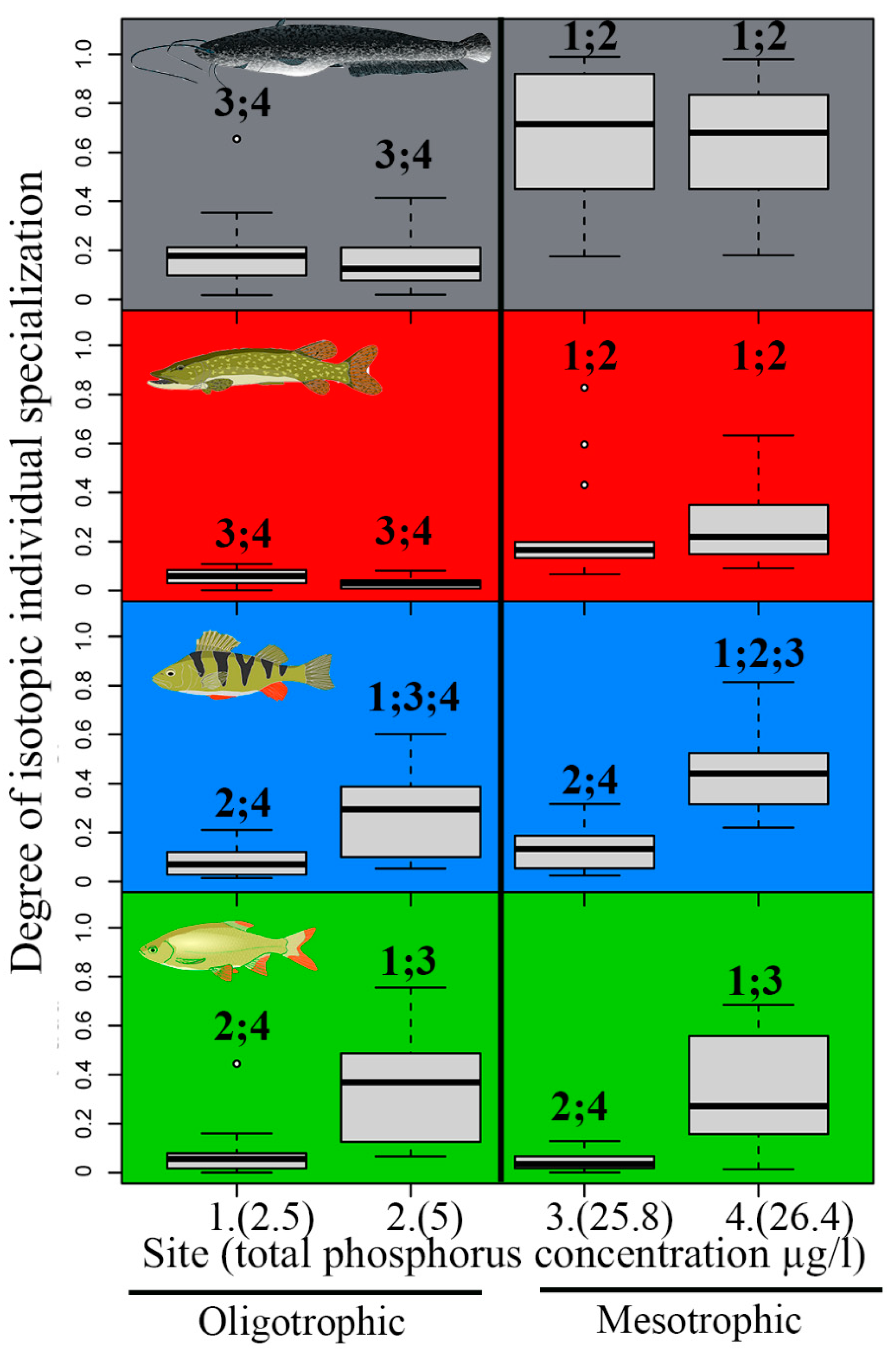 Biology 12 01113 g005 Biology 12 01113 g005