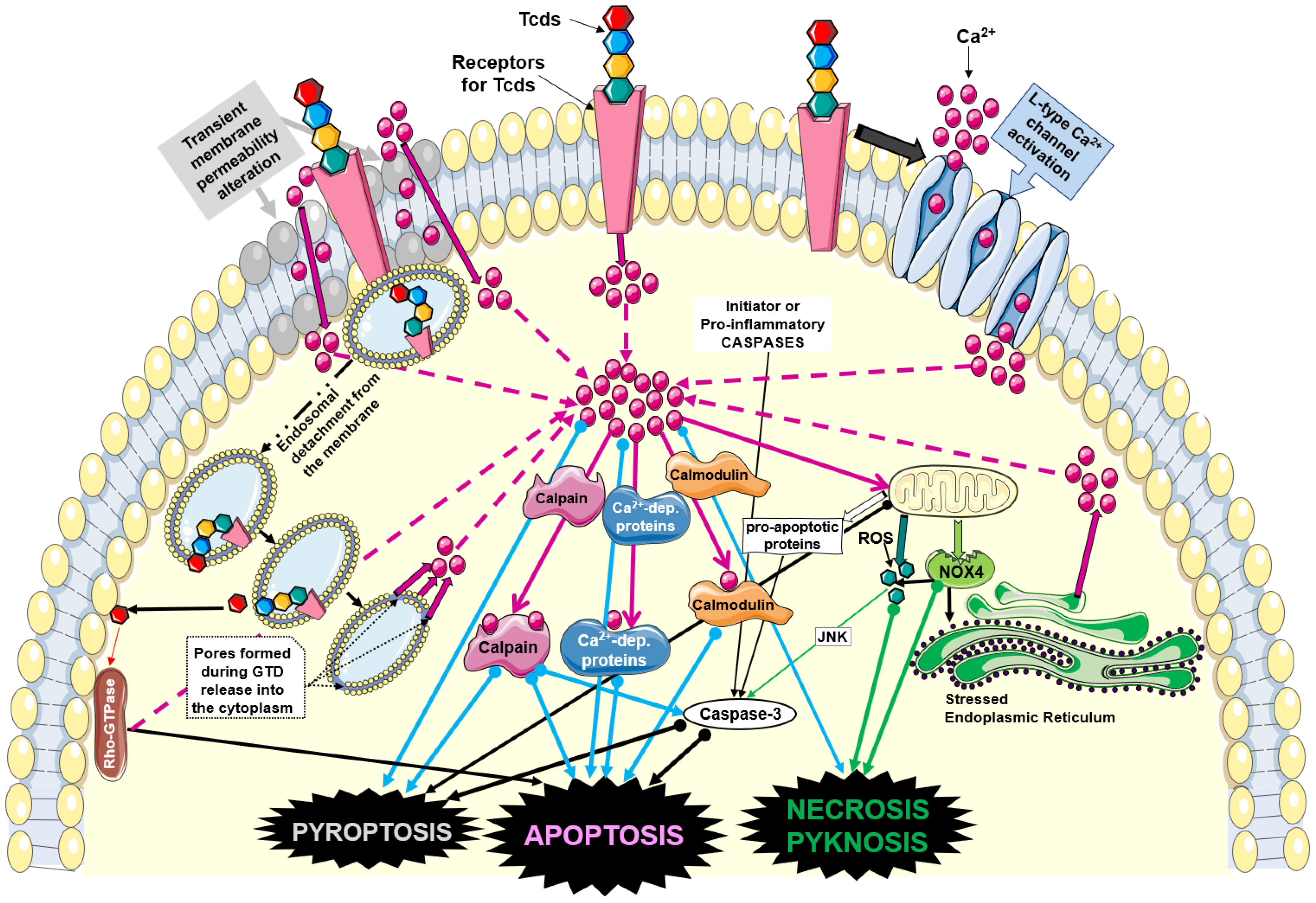 Biology 12 01117 g001 Biology 12 01117 g001