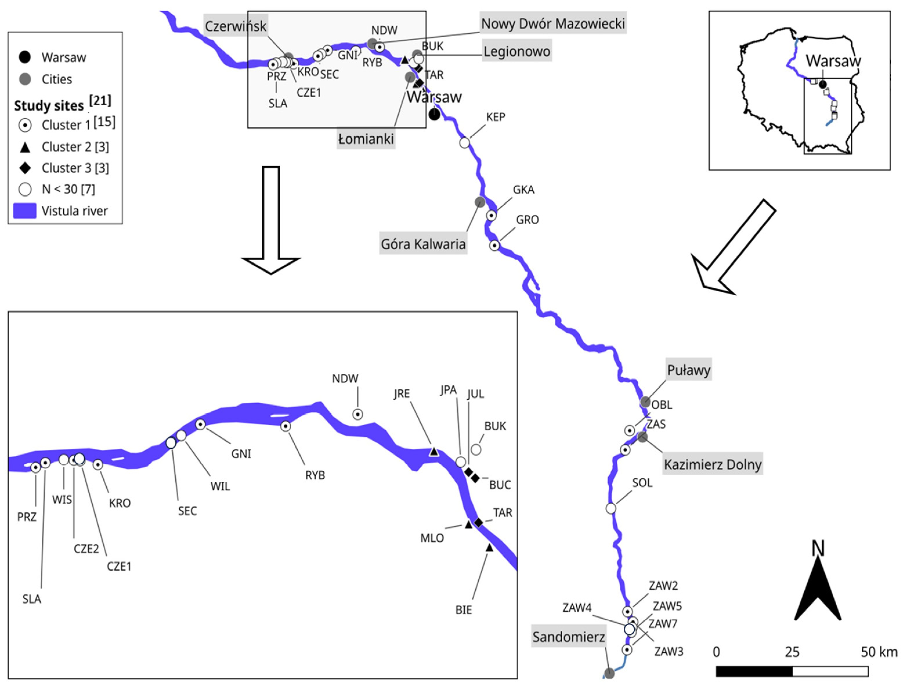 Biology 12 01118 g001 Biology 12 01118 g001