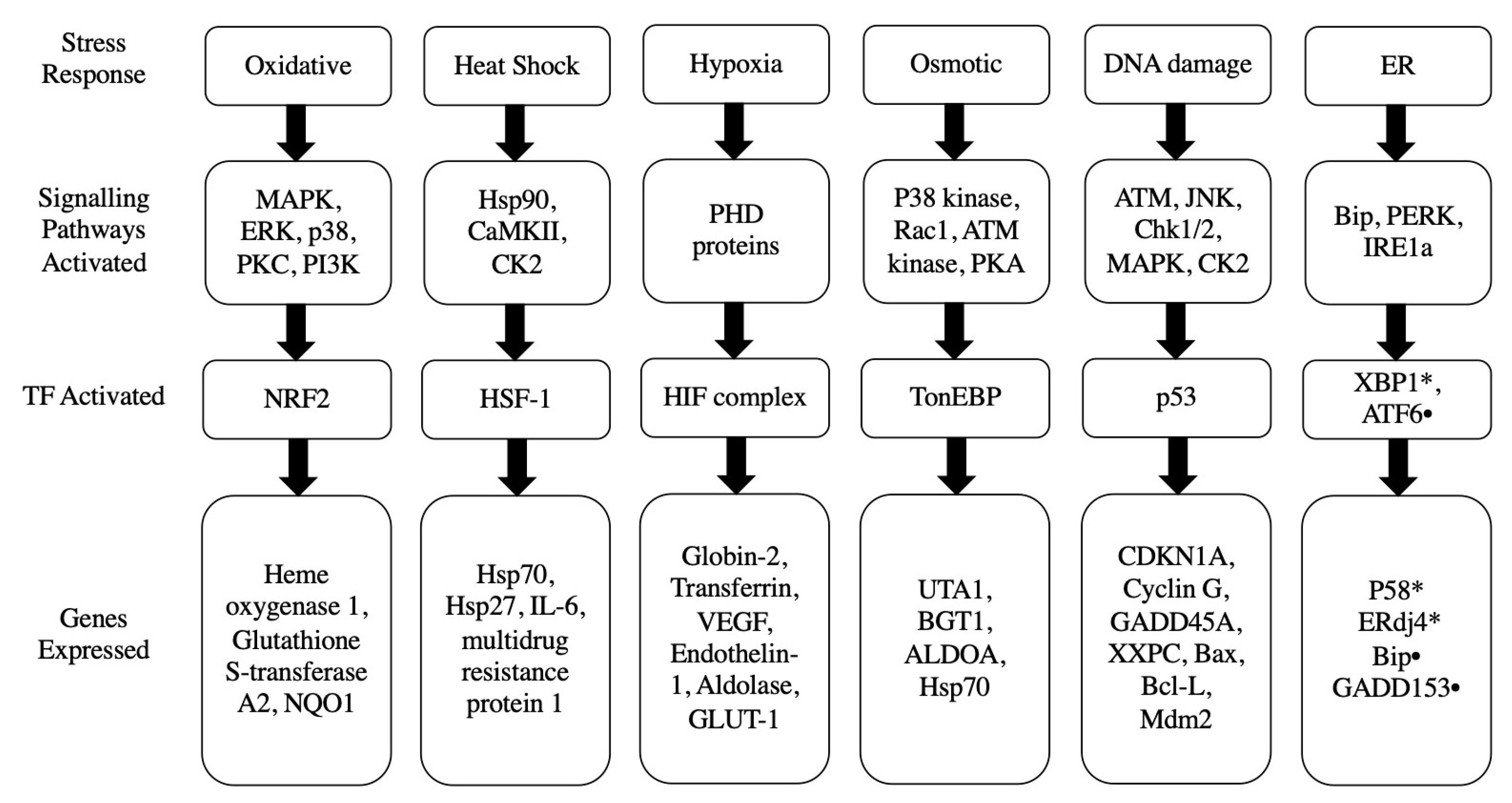 Biology 12 01119 g001 Biology 12 01119 g001