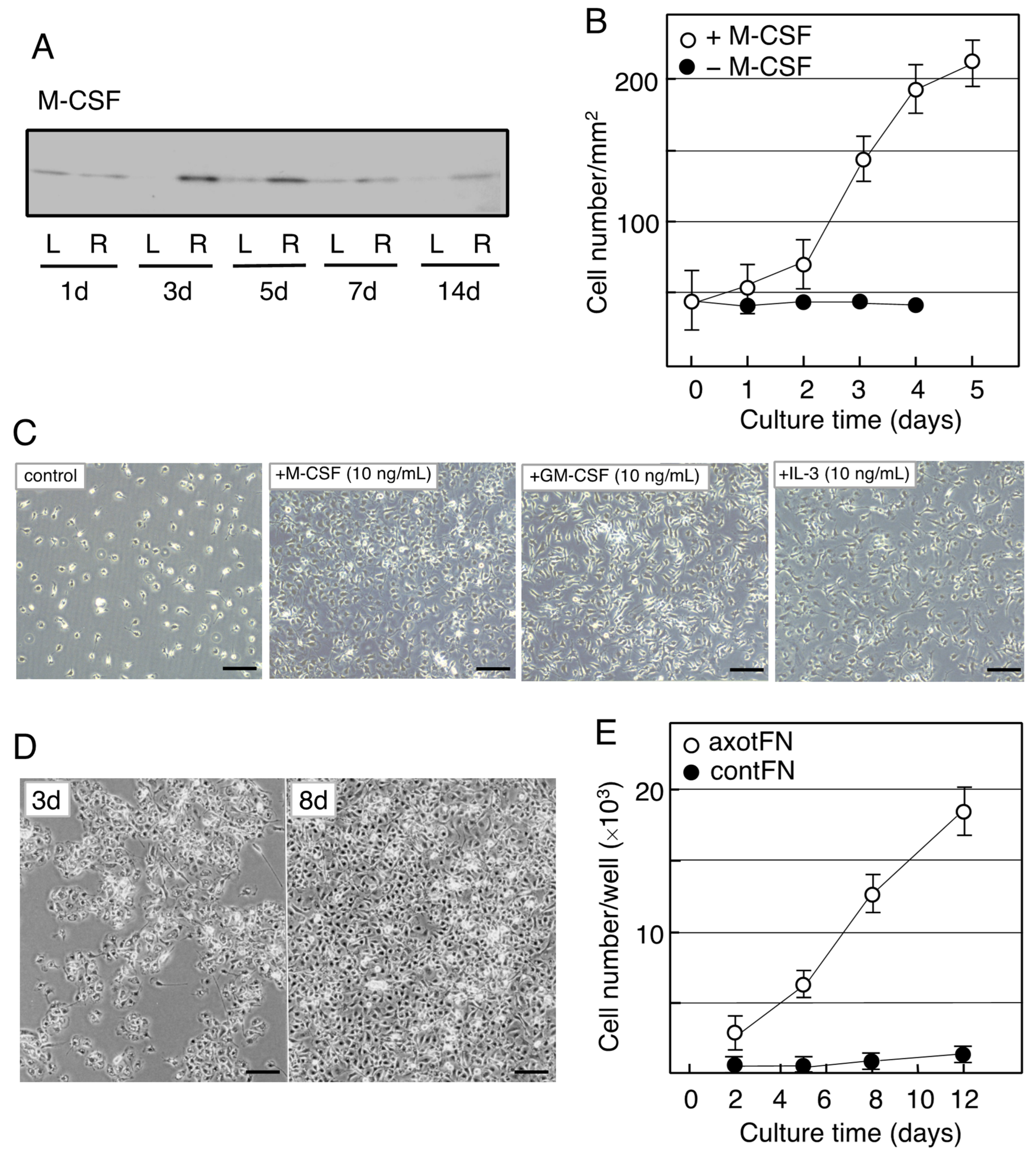 Biology 12 01121 g003 Biology 12 01121 g003