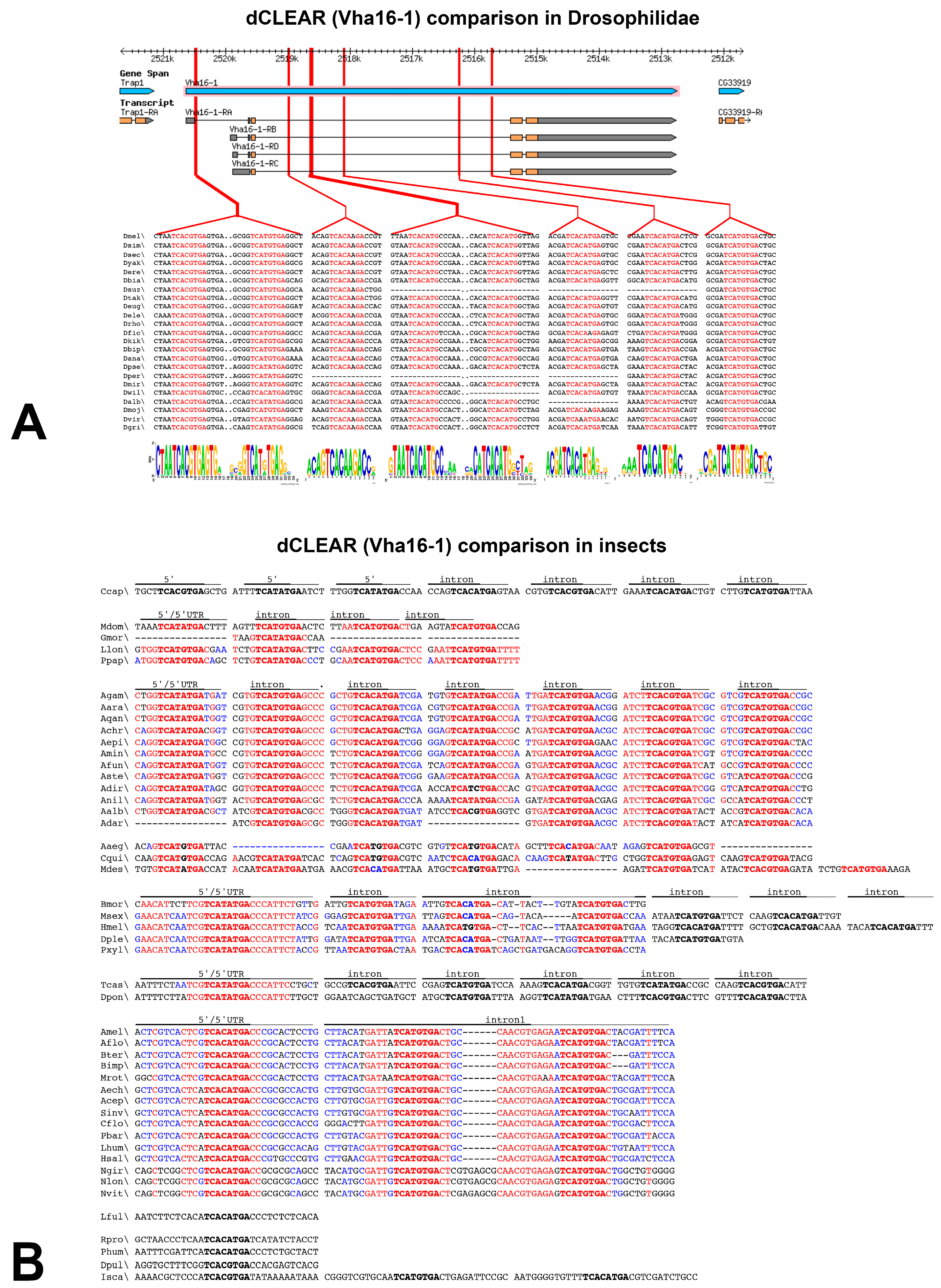 Biology 12 01127 g003 Biology 12 01127 g003