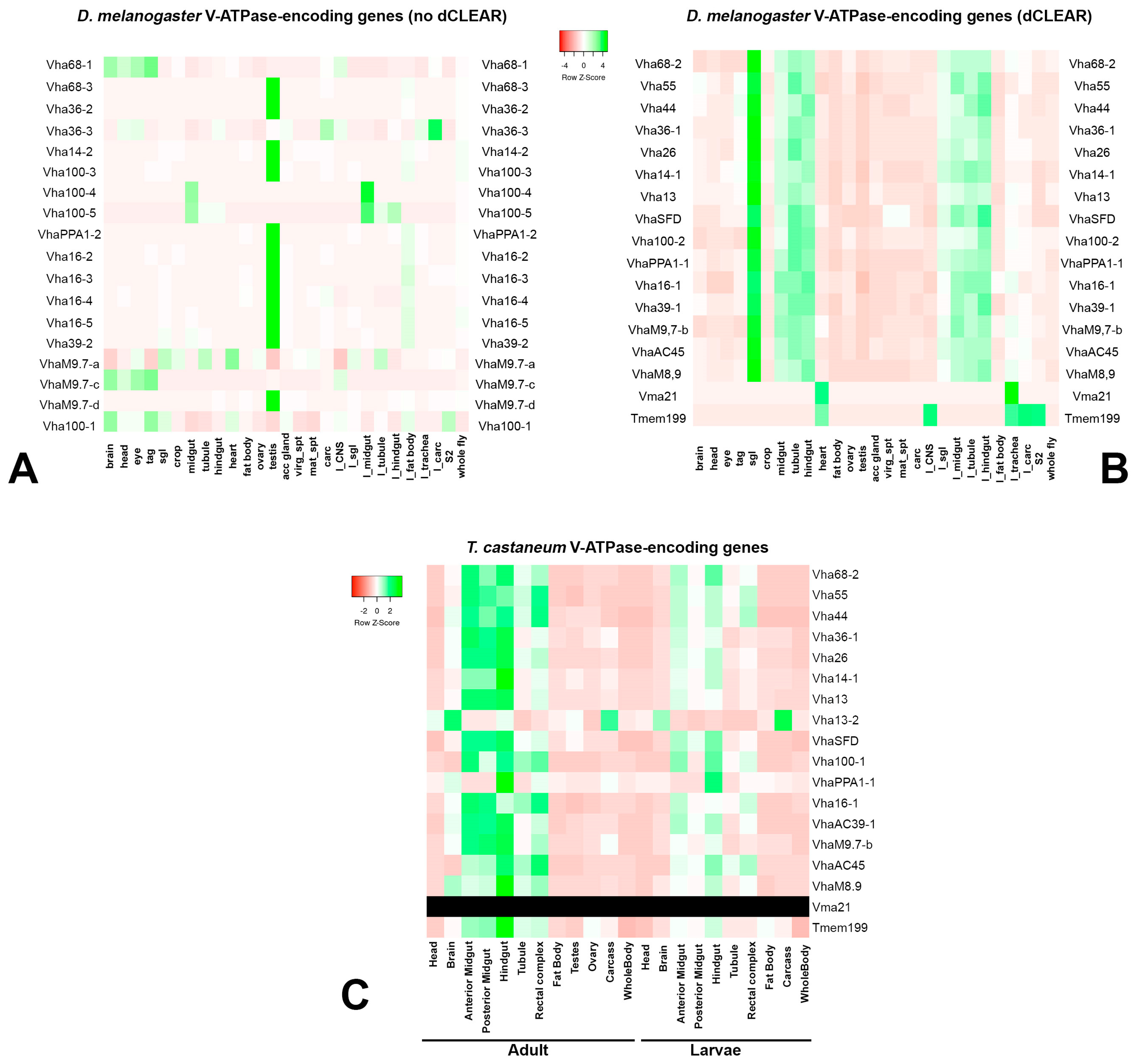 Biology 12 01127 g005 Biology 12 01127 g005