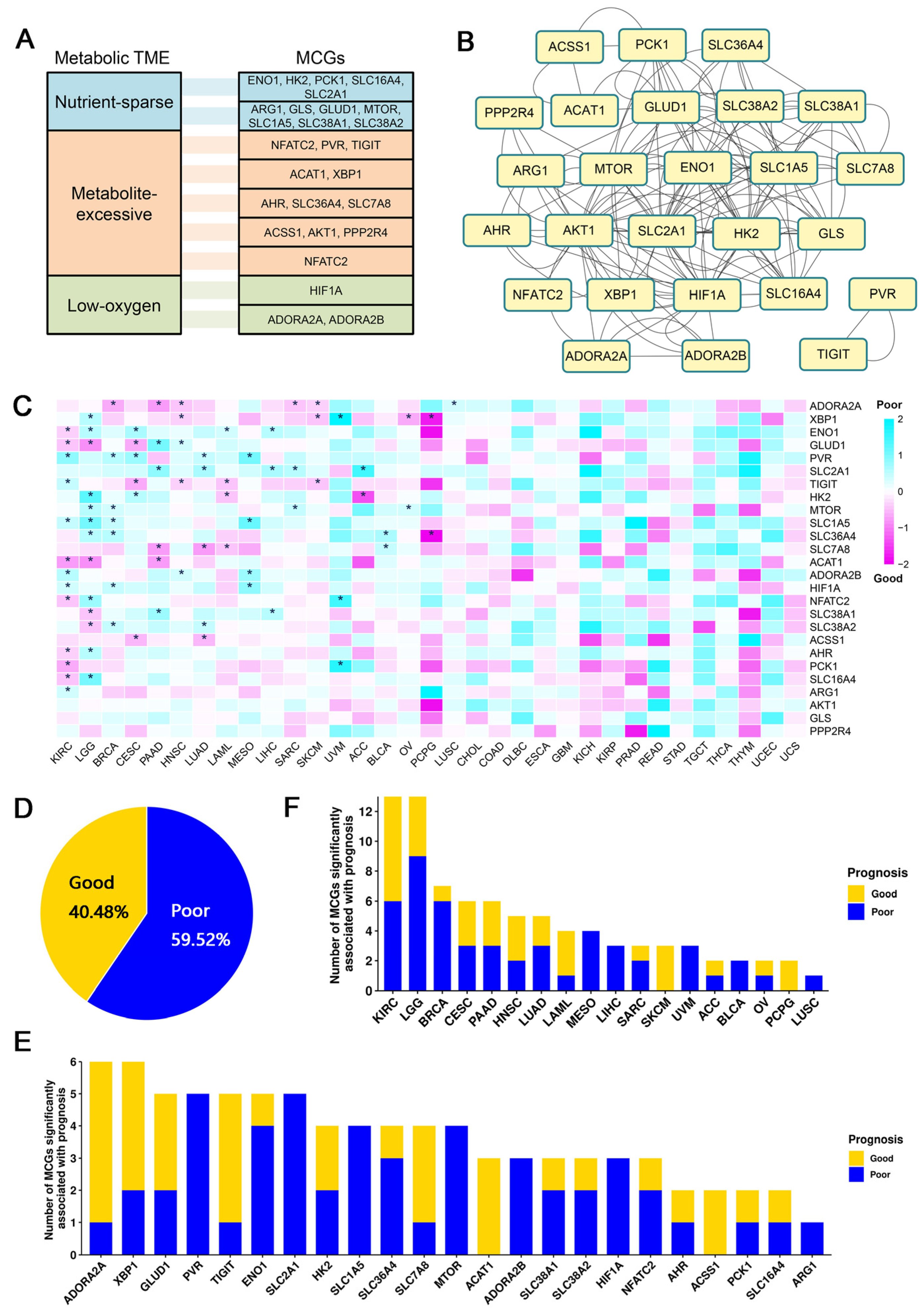 Biology 12 01129 g001