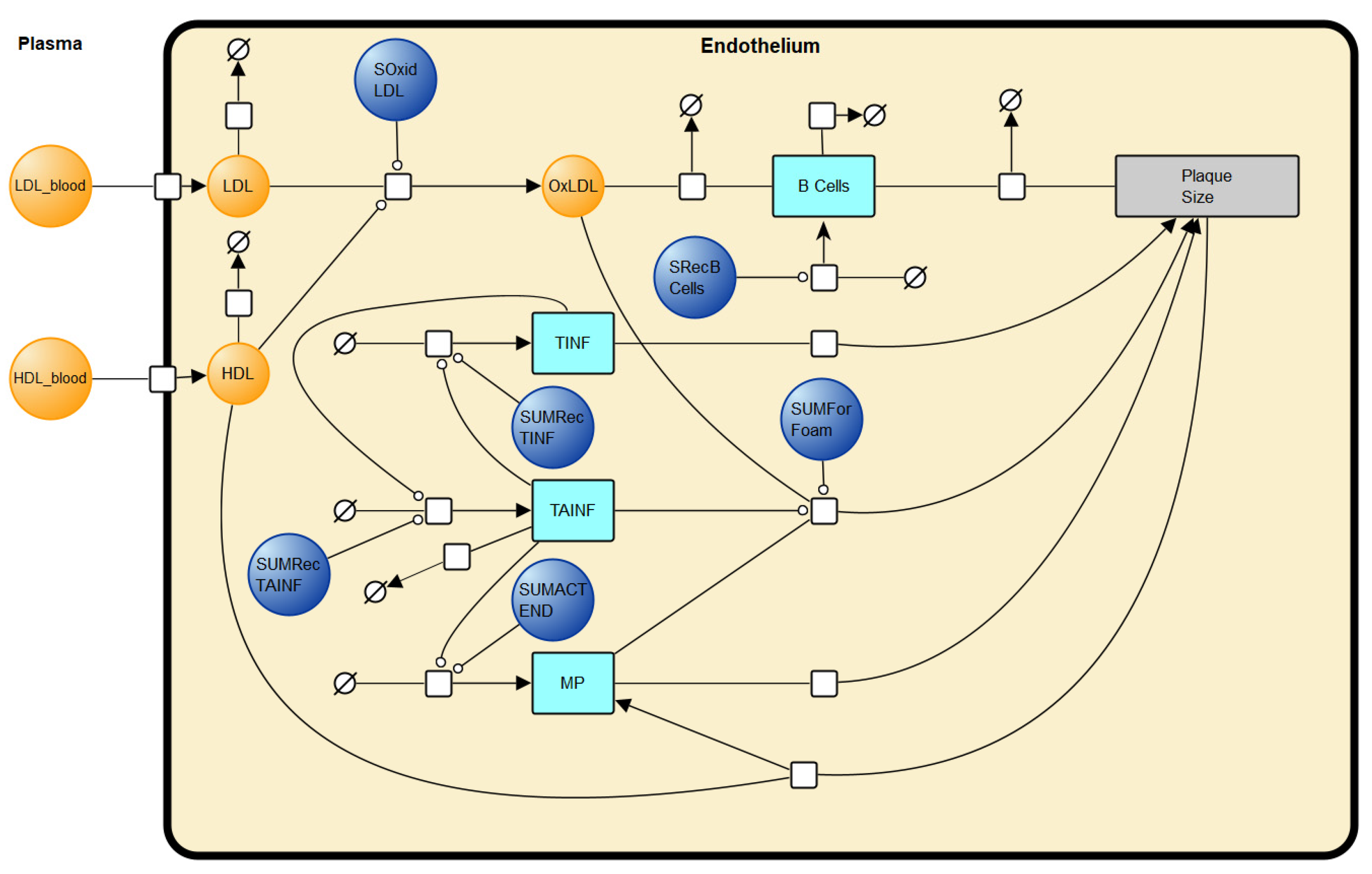 Biology 12 01133 g001 Biology 12 01133 g001