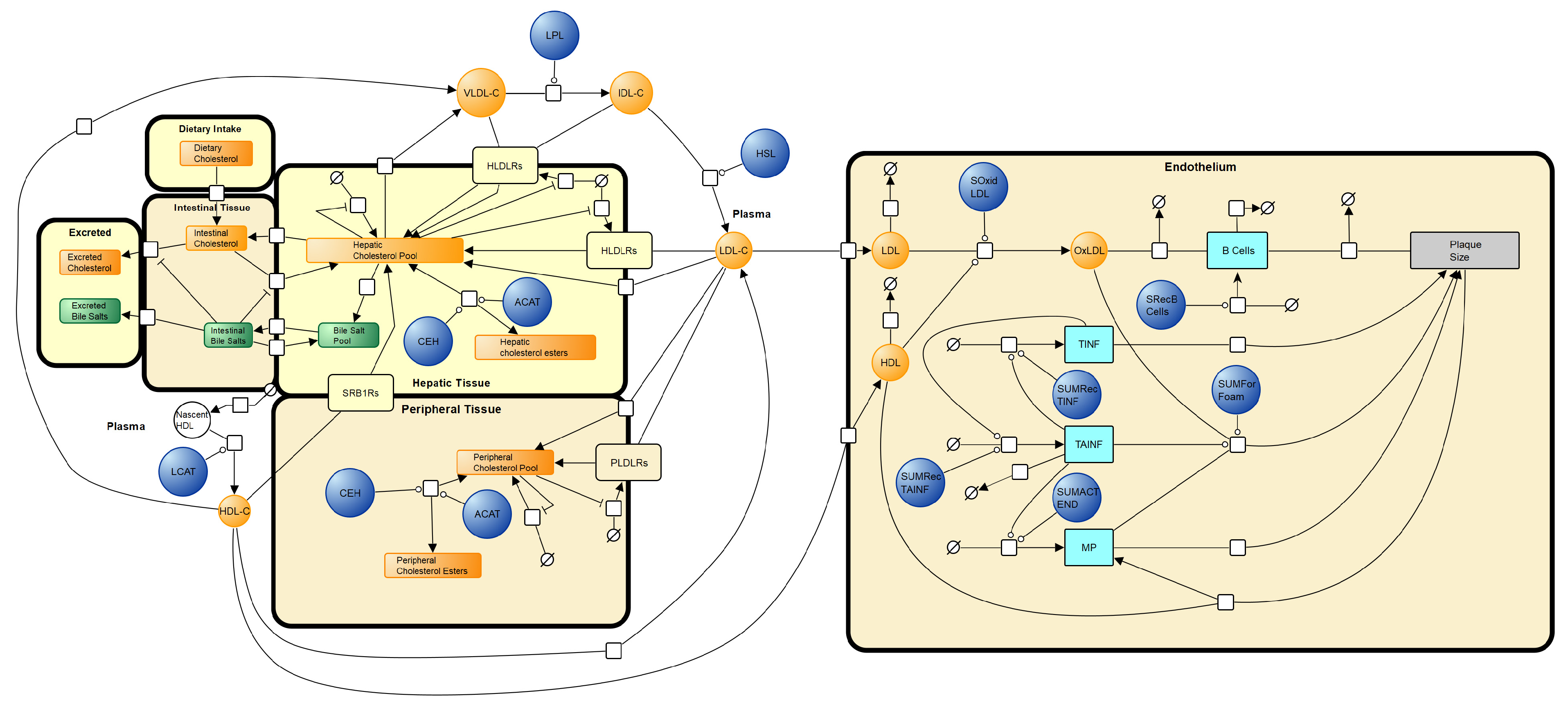 Biology 12 01133 g002 Biology 12 01133 g002