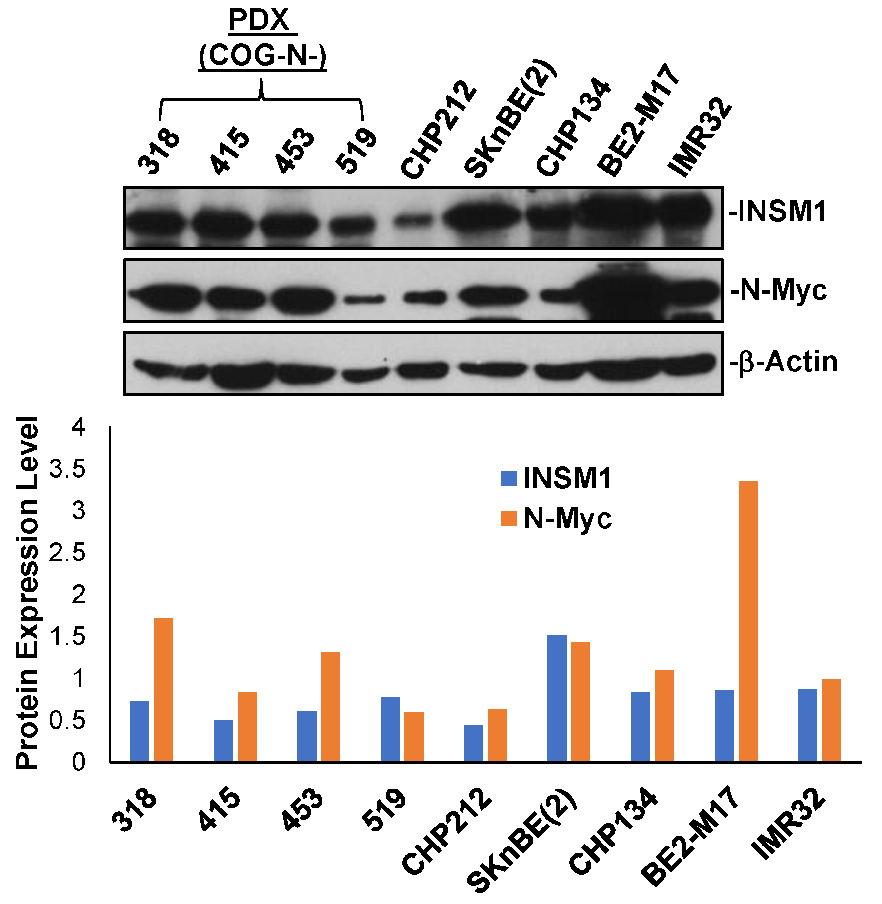 Biology 12 01134 g001 Biology 12 01134 g001