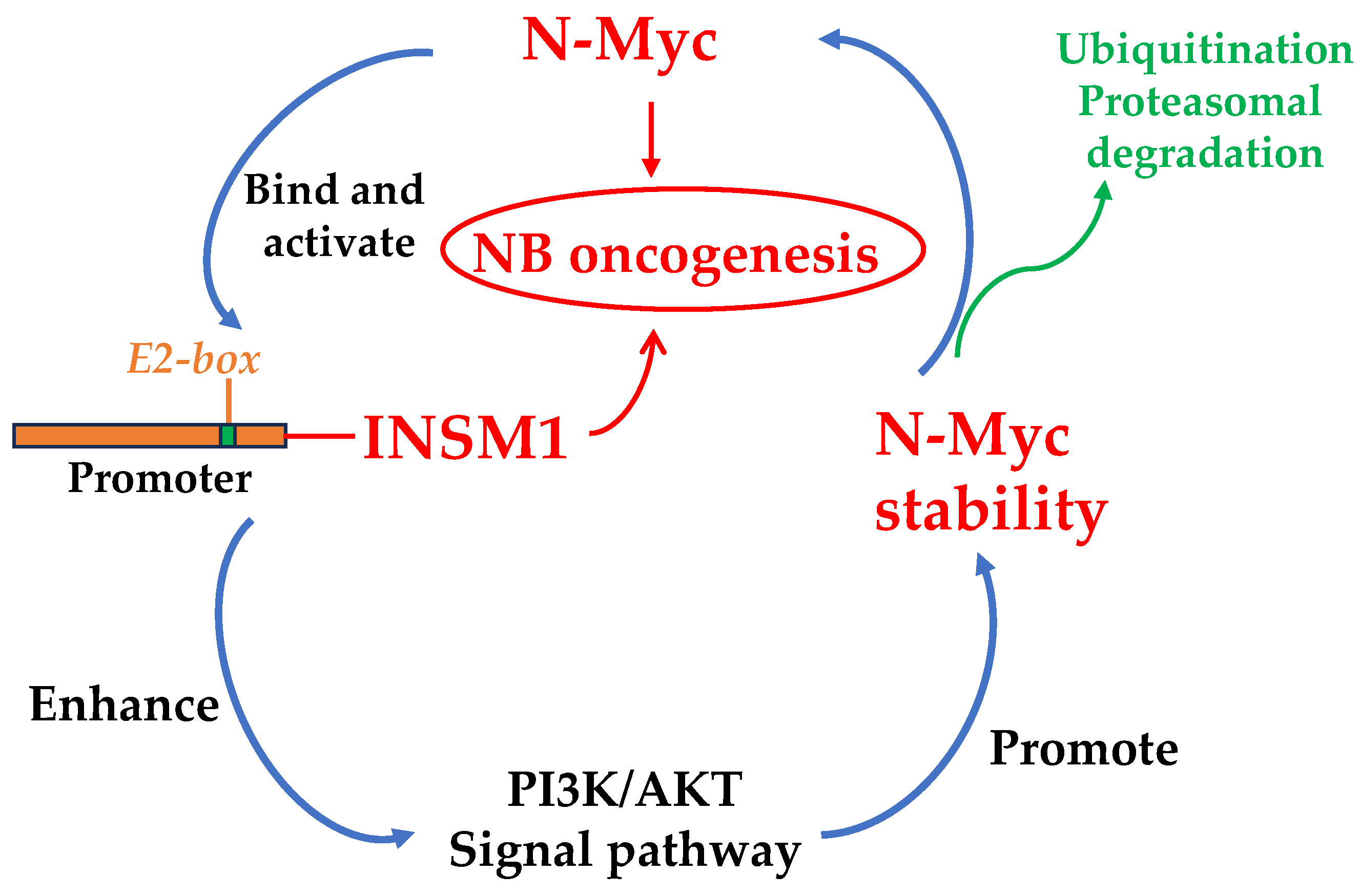 Biology 12 01134 g002 Biology 12 01134 g002