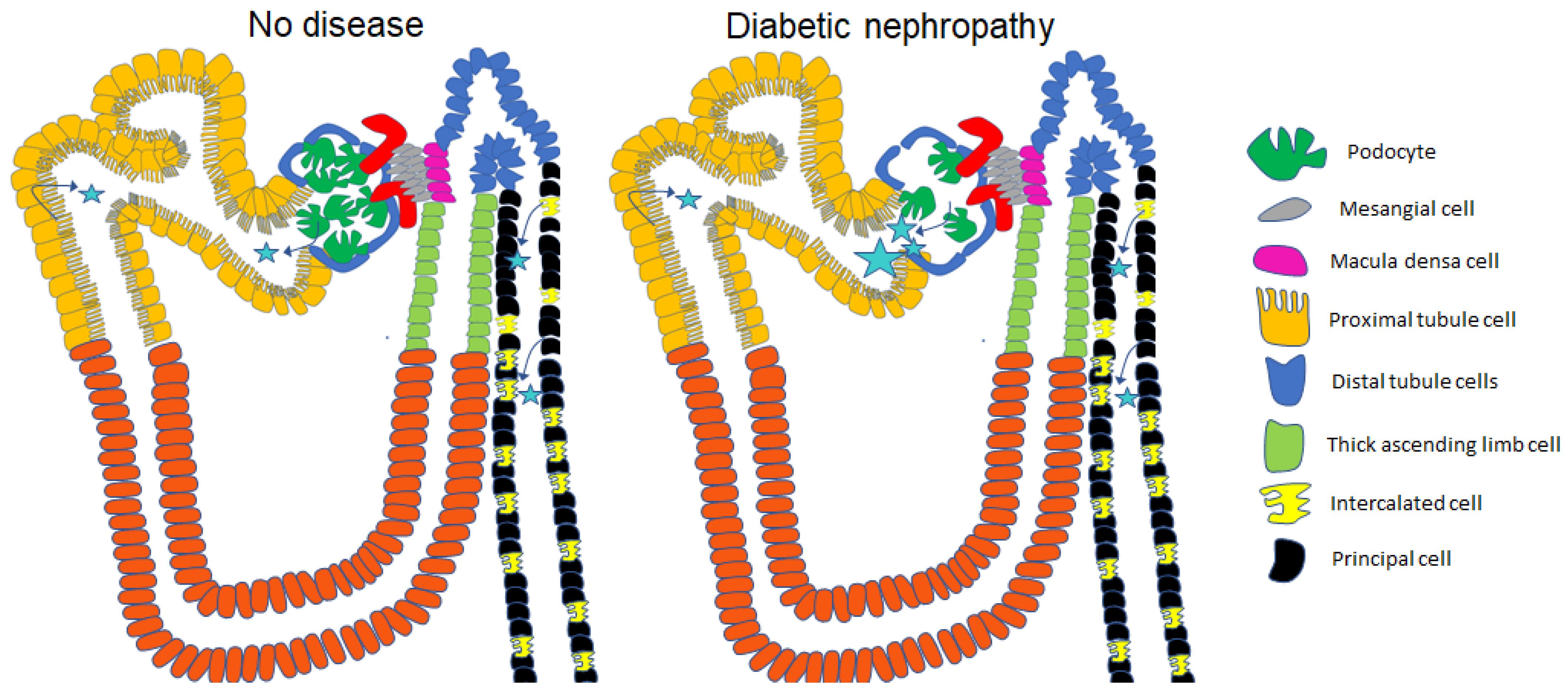 Biology 12 01138 g003