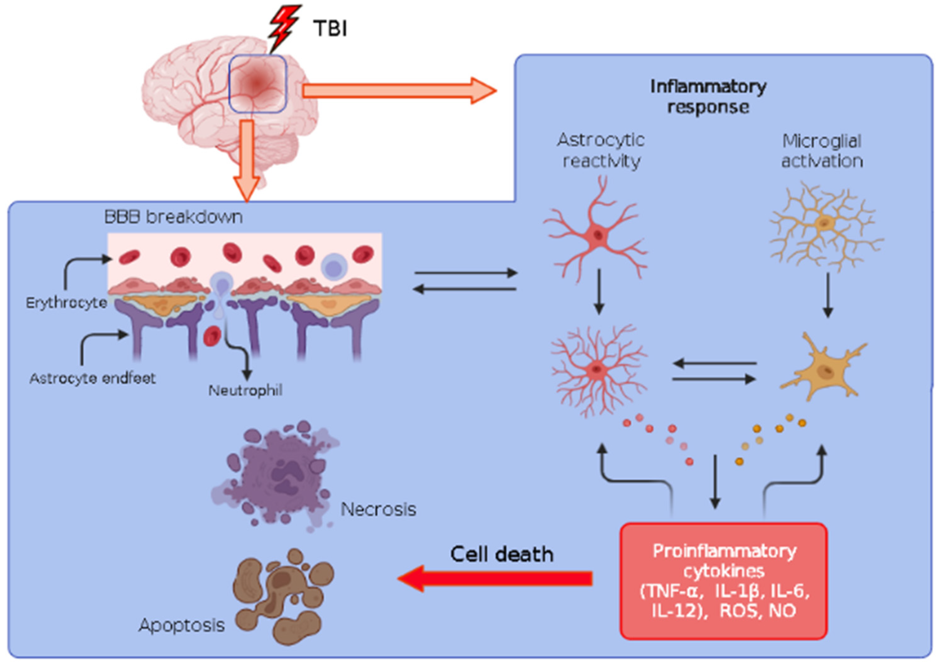 Assessment of neuroendocrine dysfunction following traumatic brain injury.