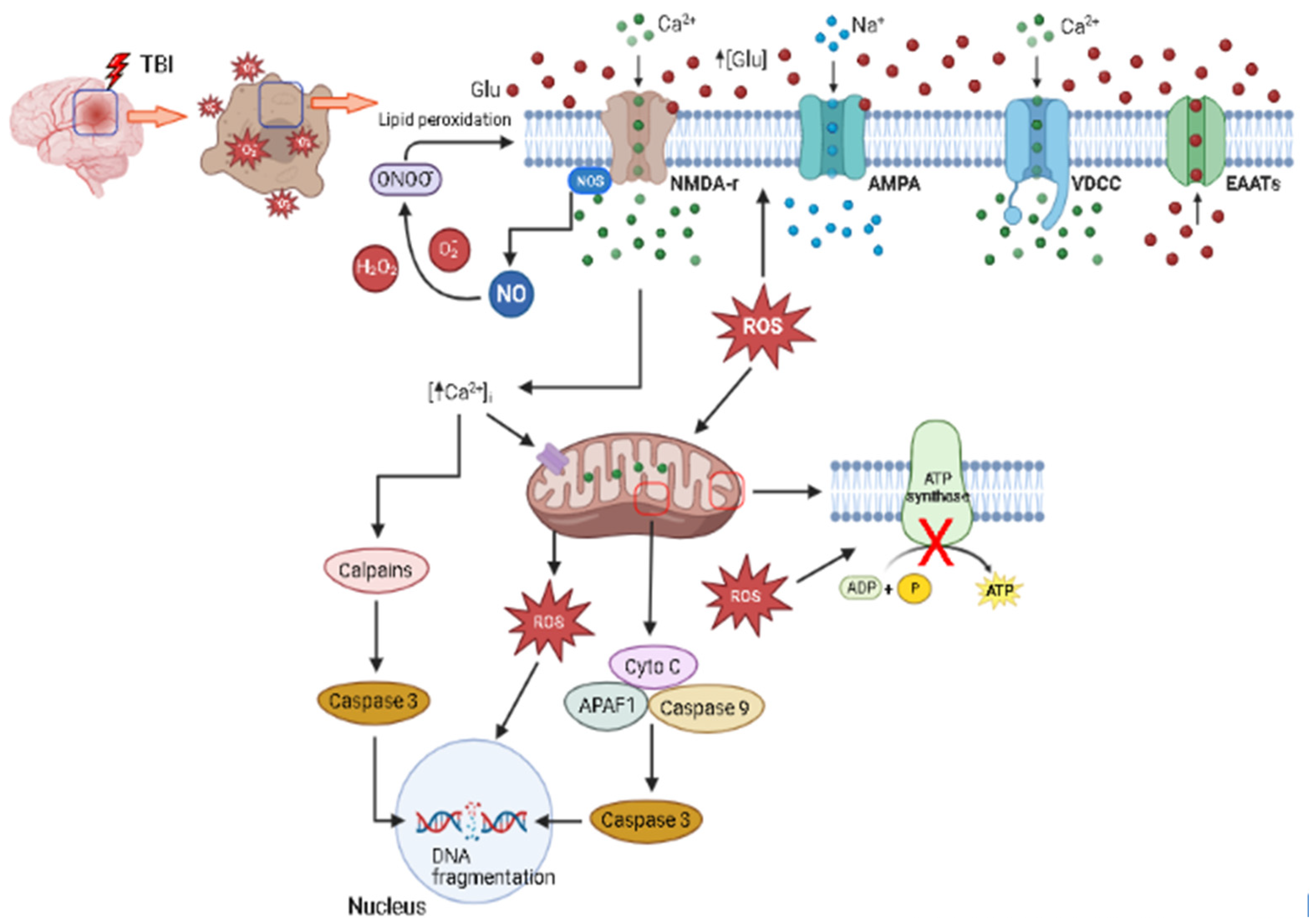 Biology 12 01139 g002 Biology 12 01139 g002