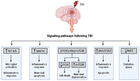  ZX 700 HD 'Black' - Adidas - G55780 - core black/core black