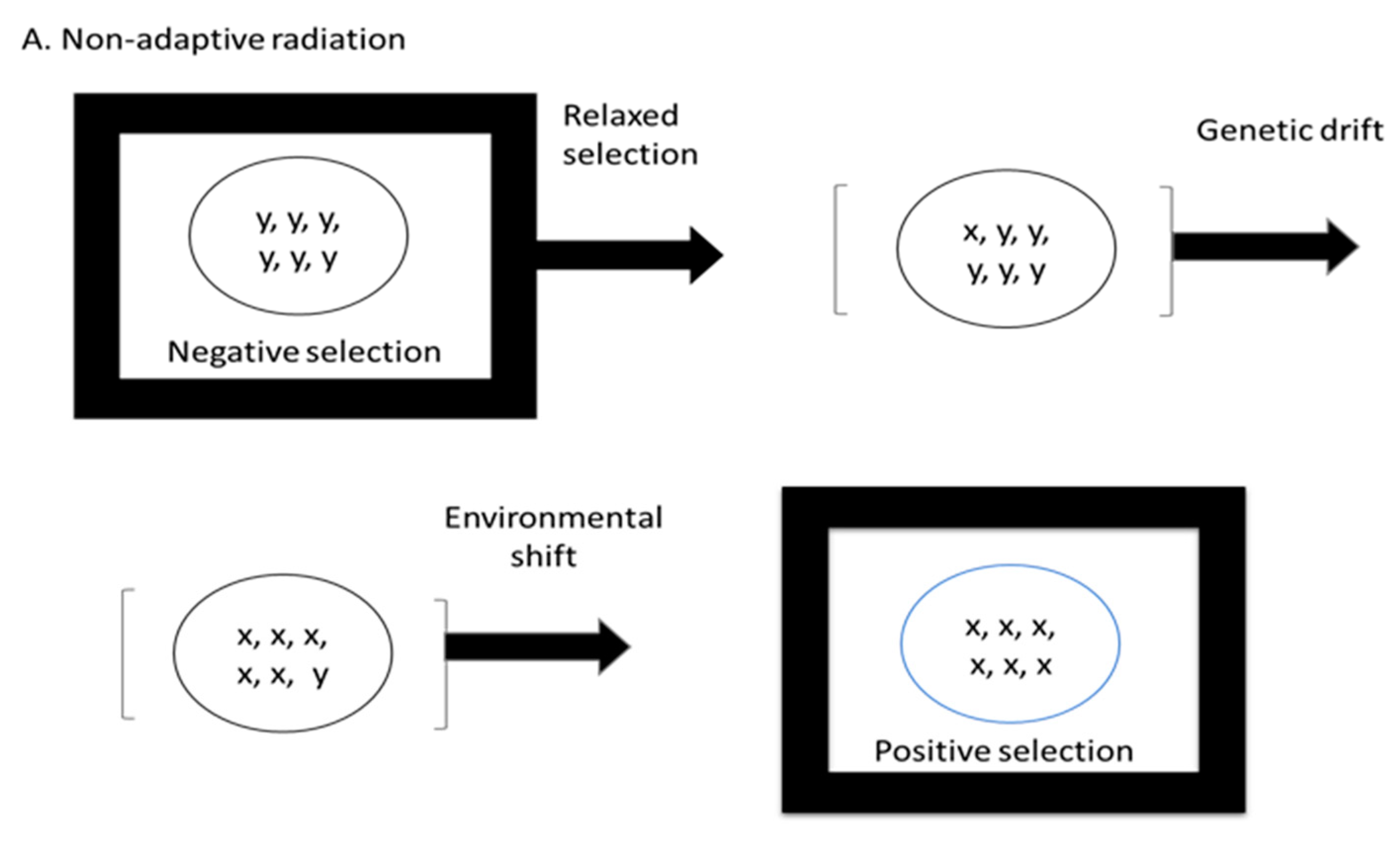 Biology 12 01140 g001a