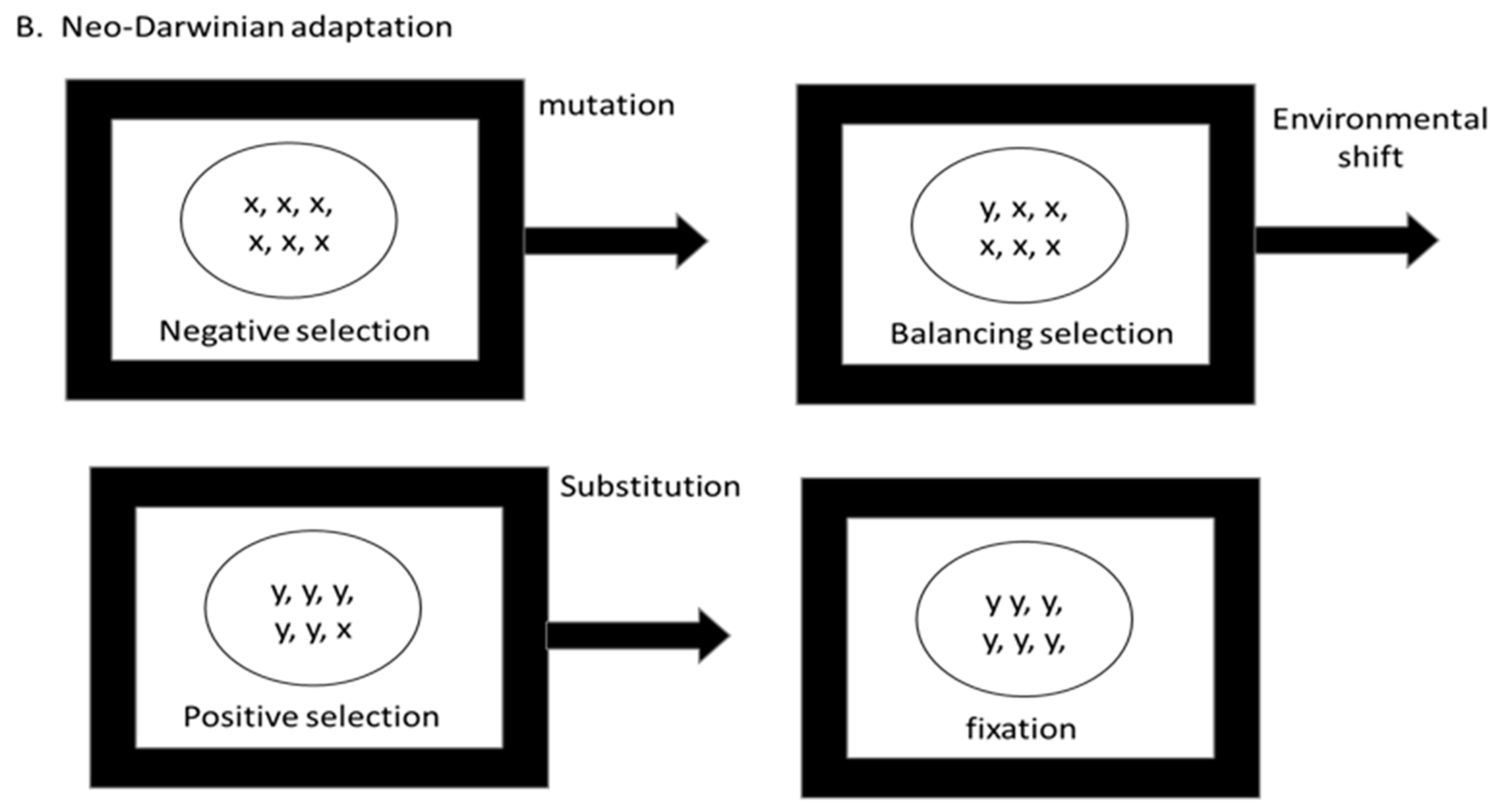 Biology 12 01140 g001b