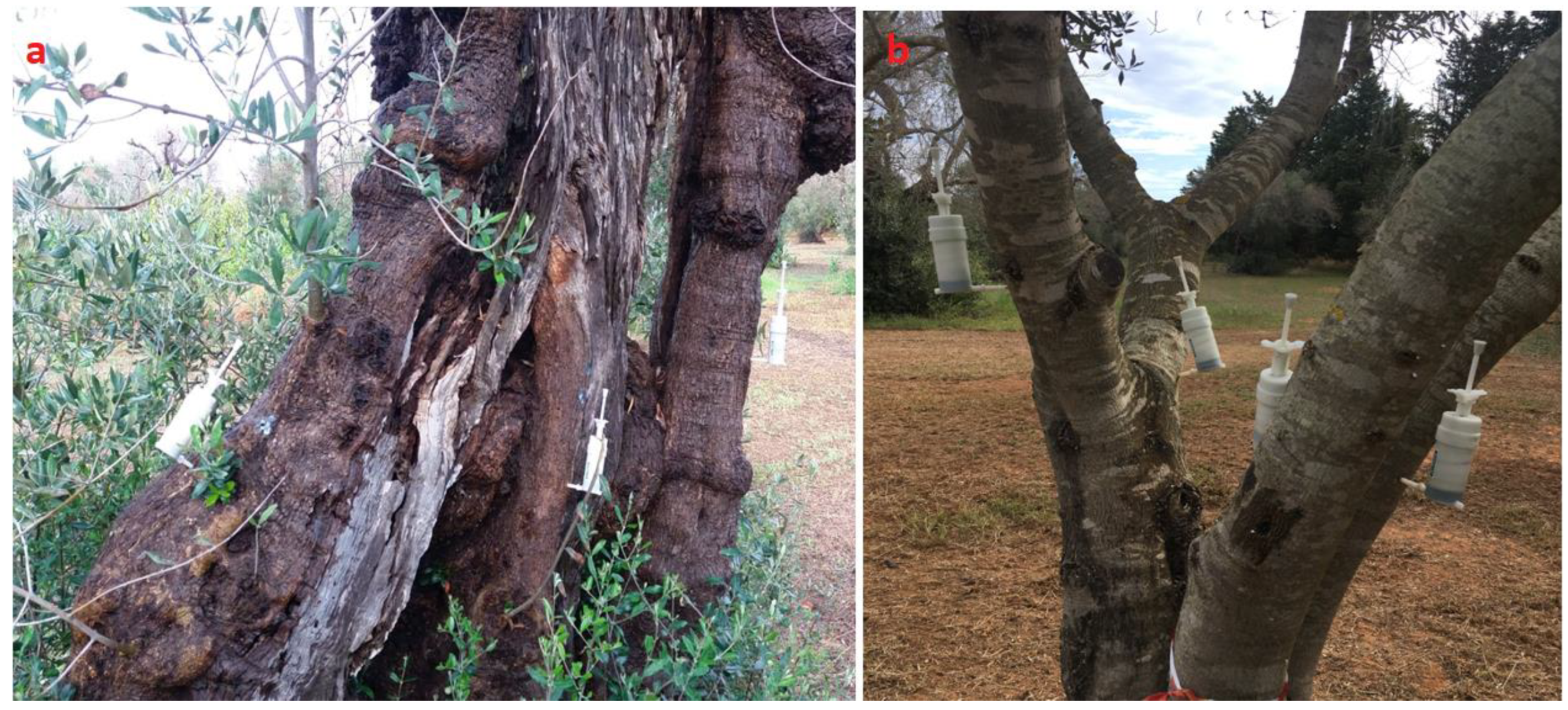 Biology 12 01141 g001