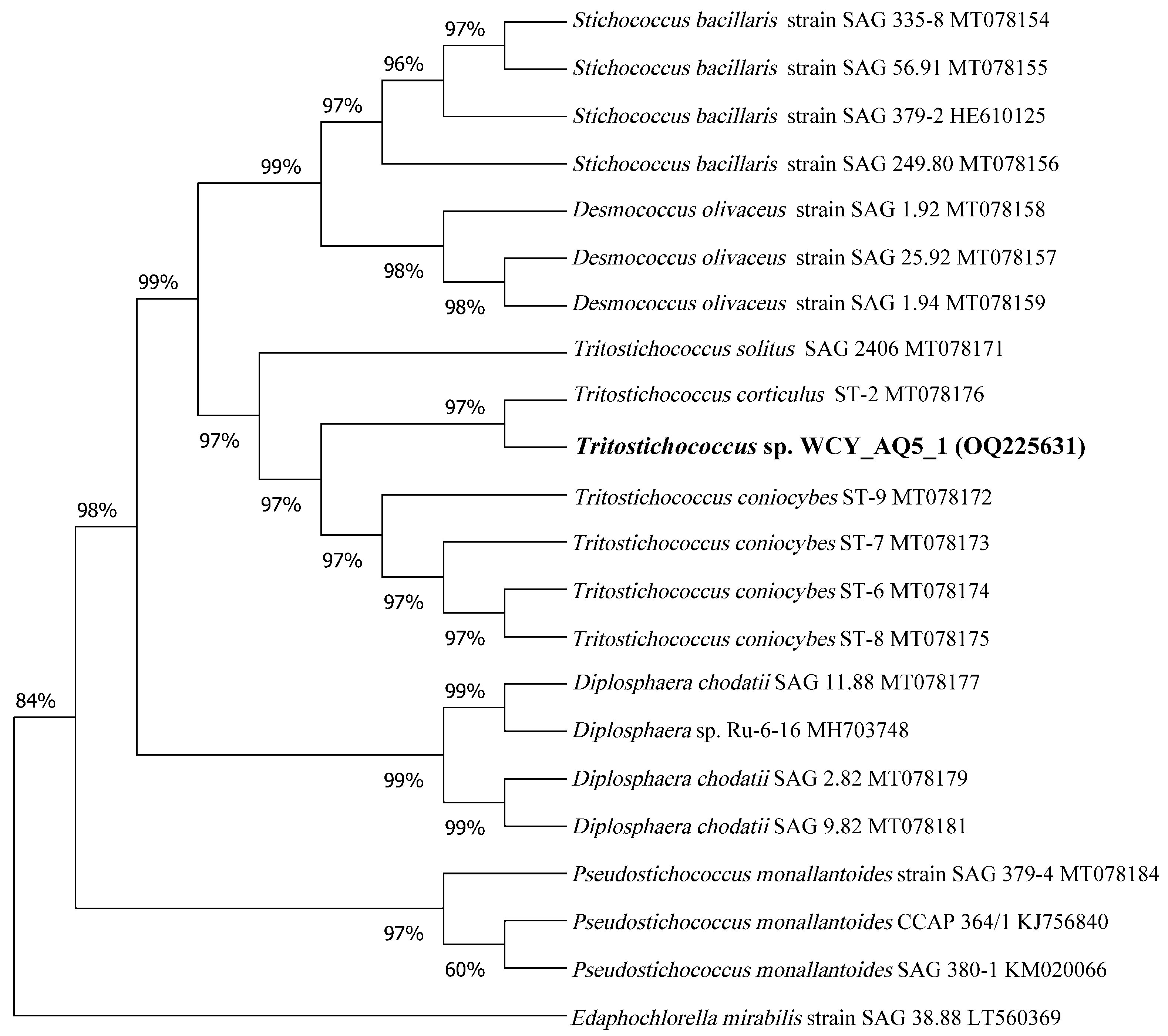 Biology 12 01142 g002