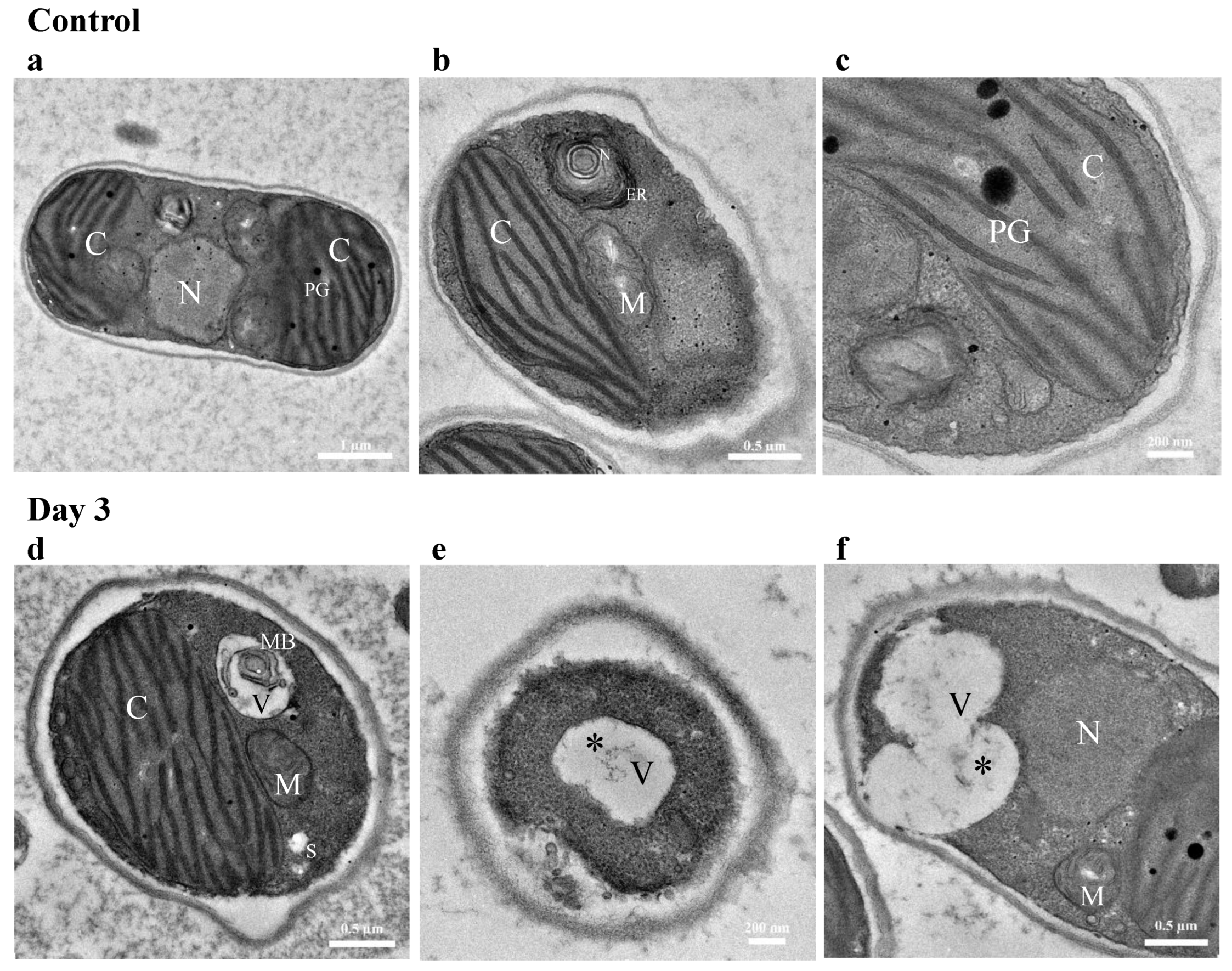 Biology 12 01142 g008a